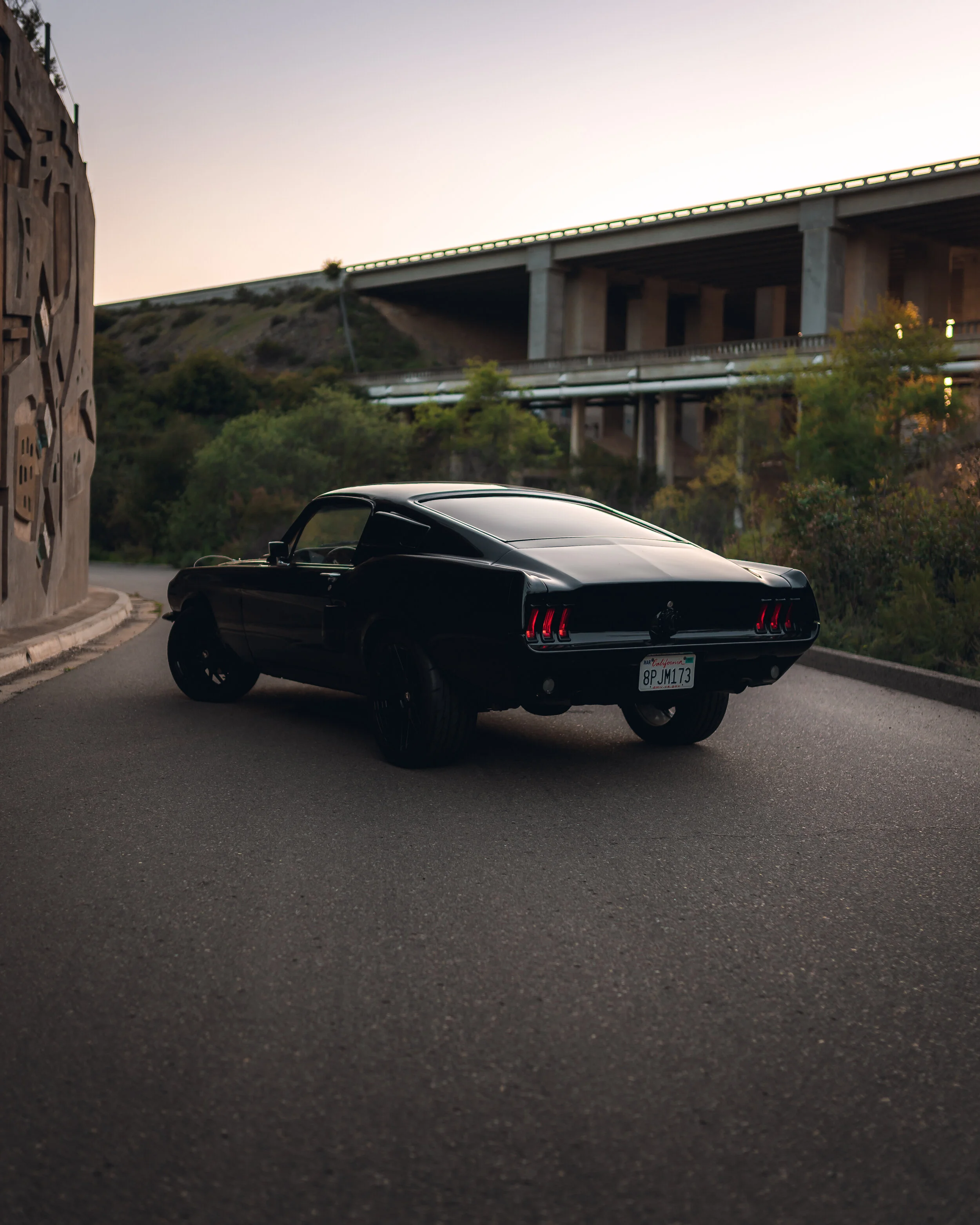 3-20-21 0510-Edit.jpg