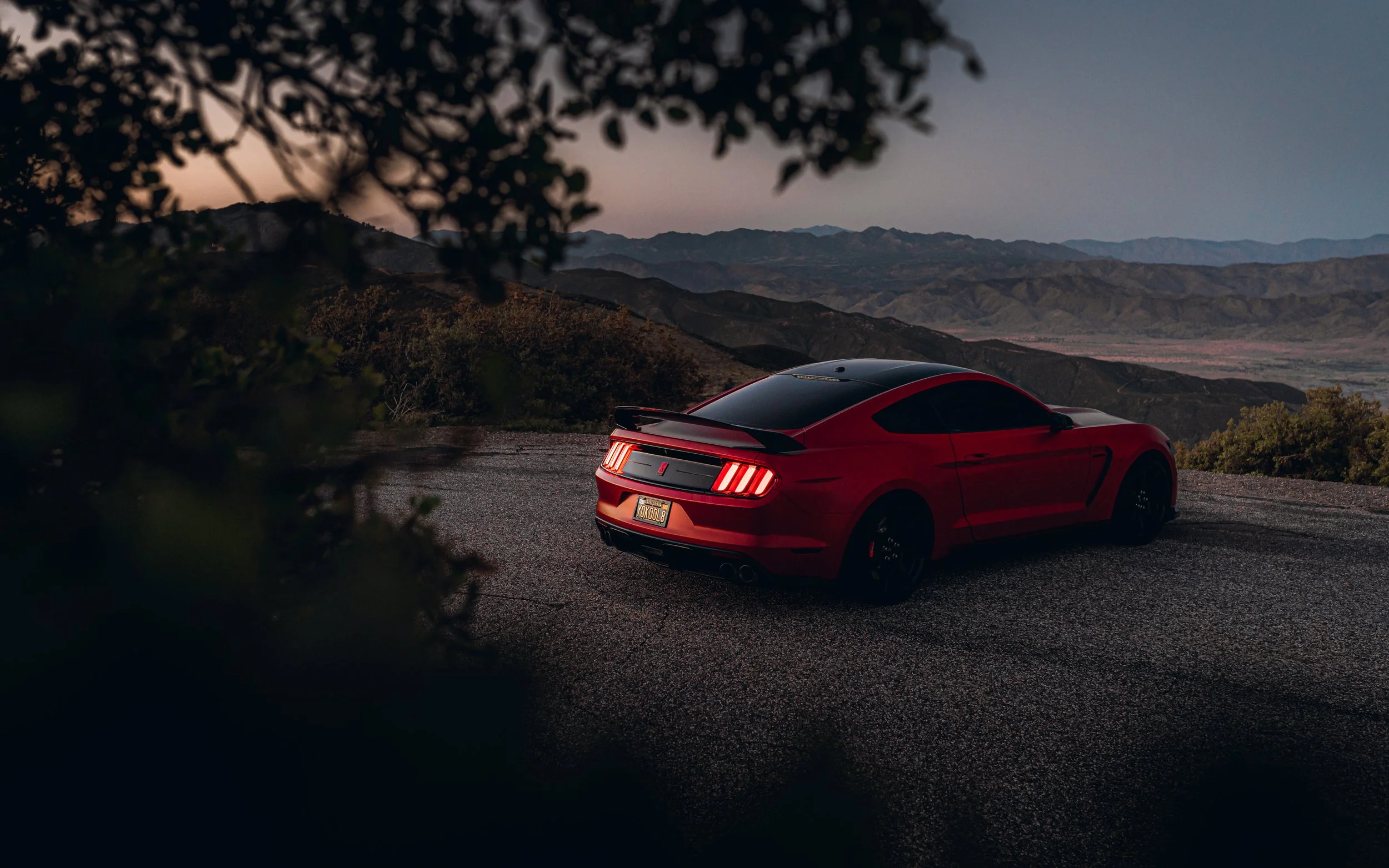 4-23-22 1649-Edit.jpg