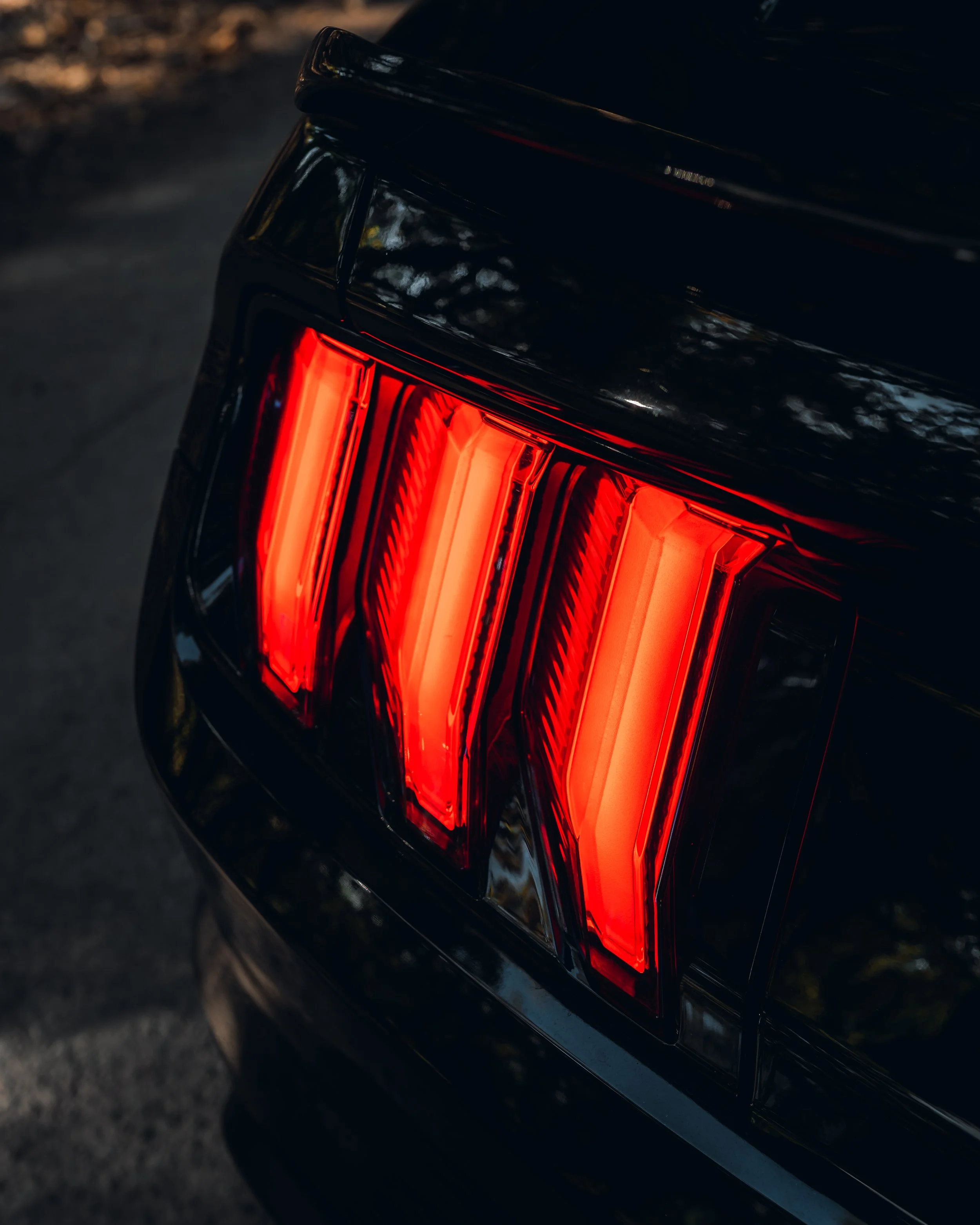 10-30-21 0071-Edit.jpg