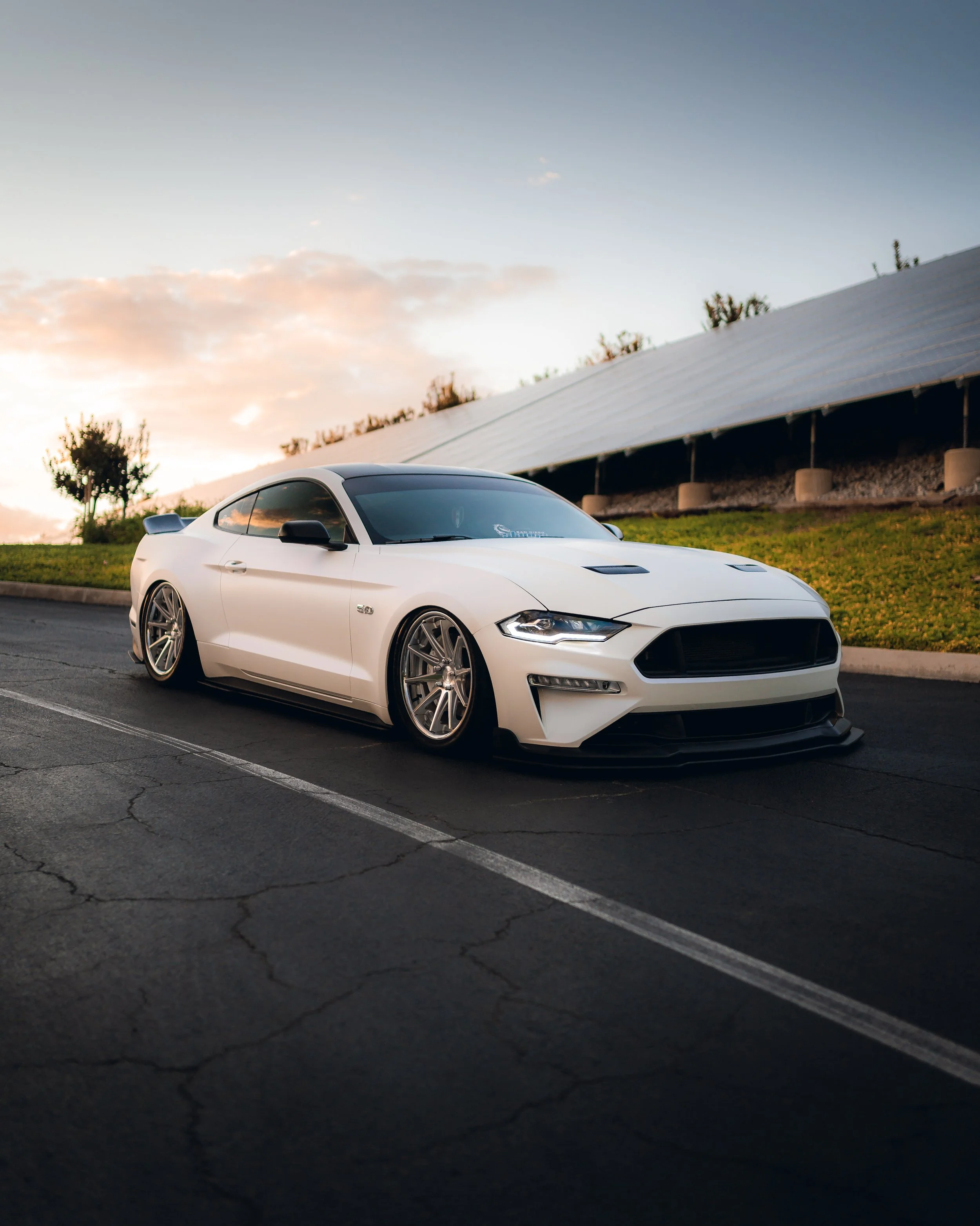 1-29-22 404-Edit.jpg