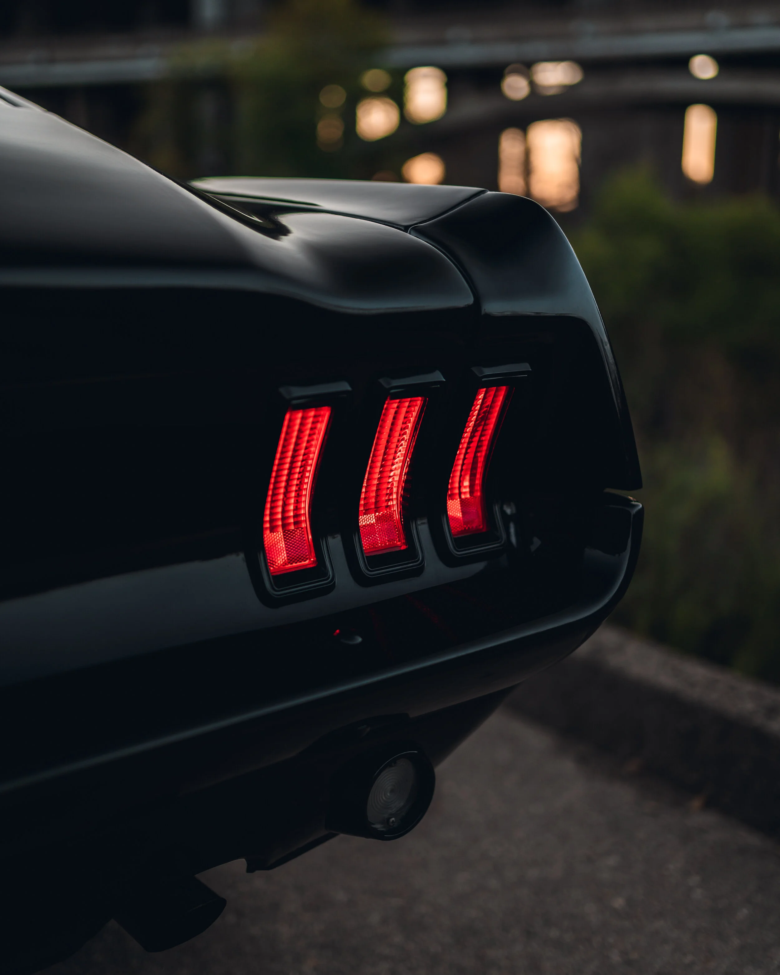 3-20-21 0919-Edit.jpg