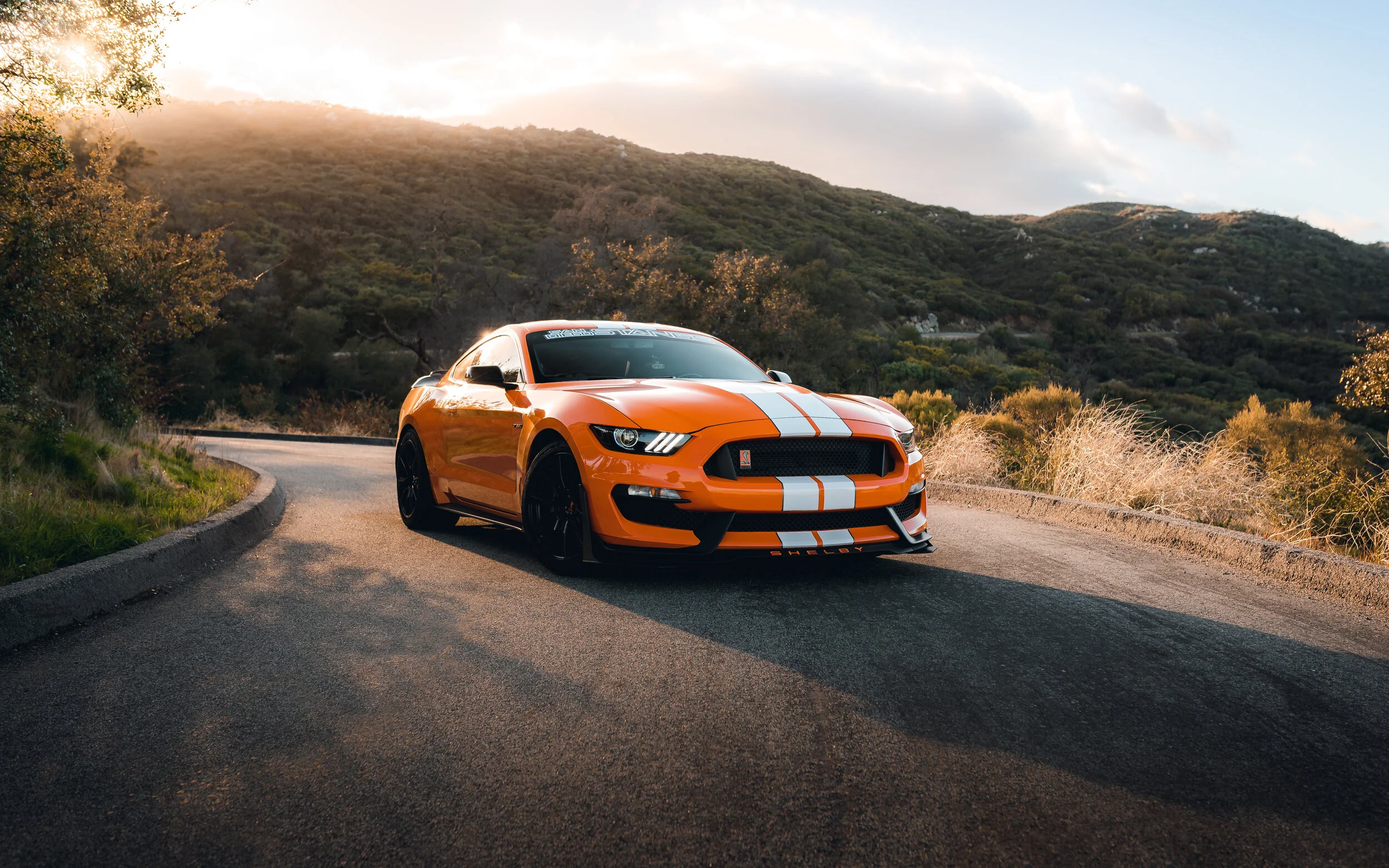 3-16-21 052-Edit.jpg