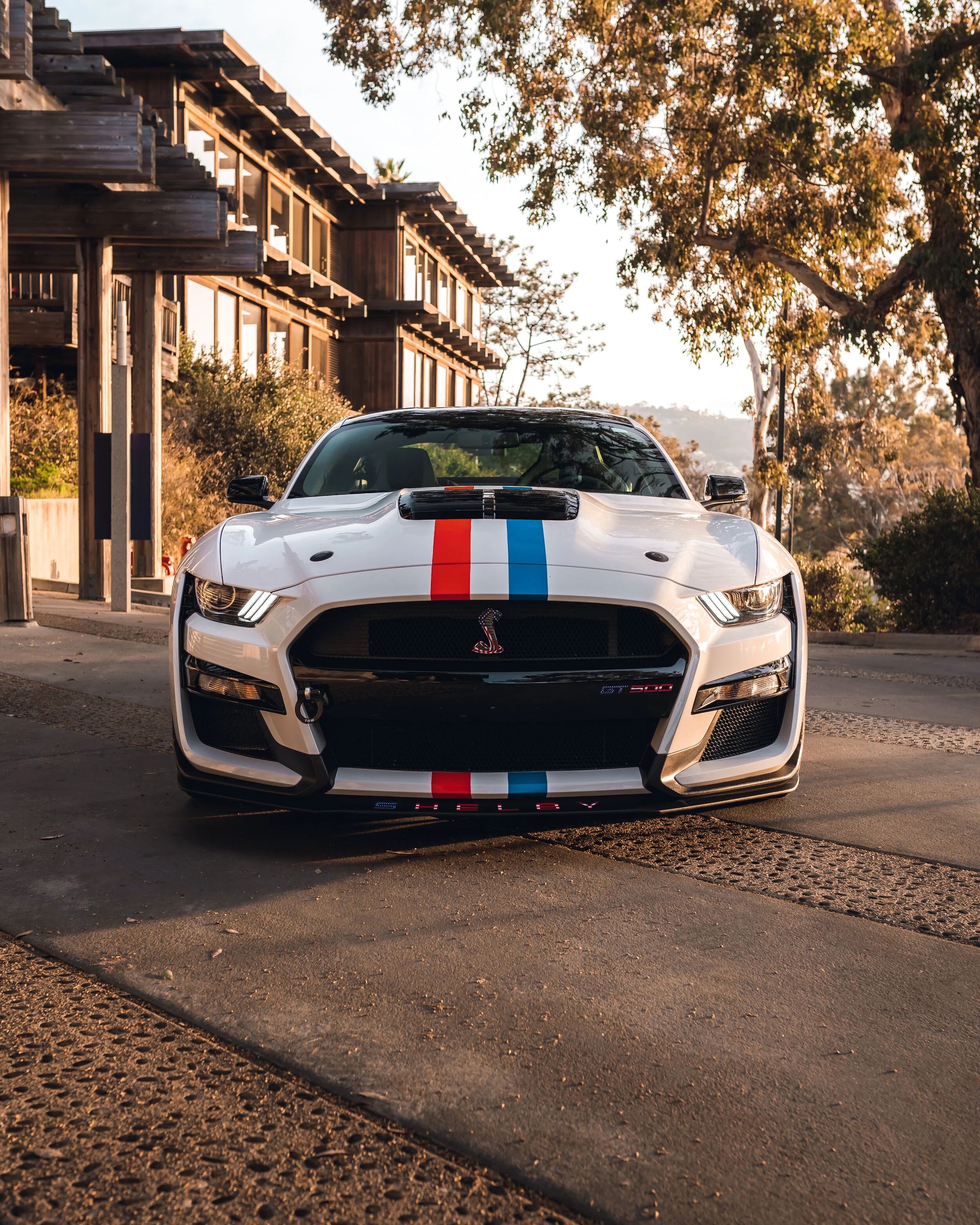 2-13-21 001-Edit.jpg