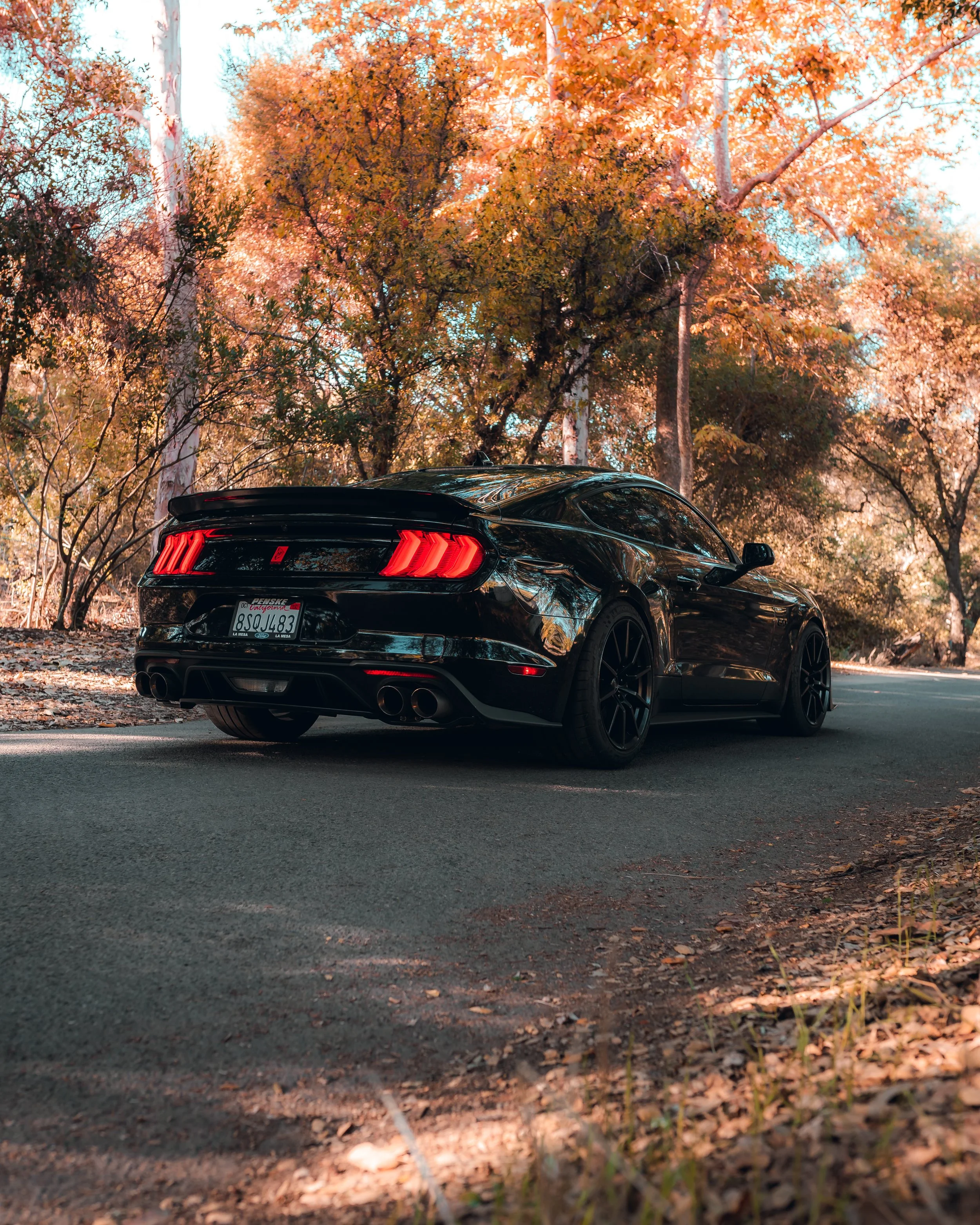 10-30-21 1025-Edit.jpg