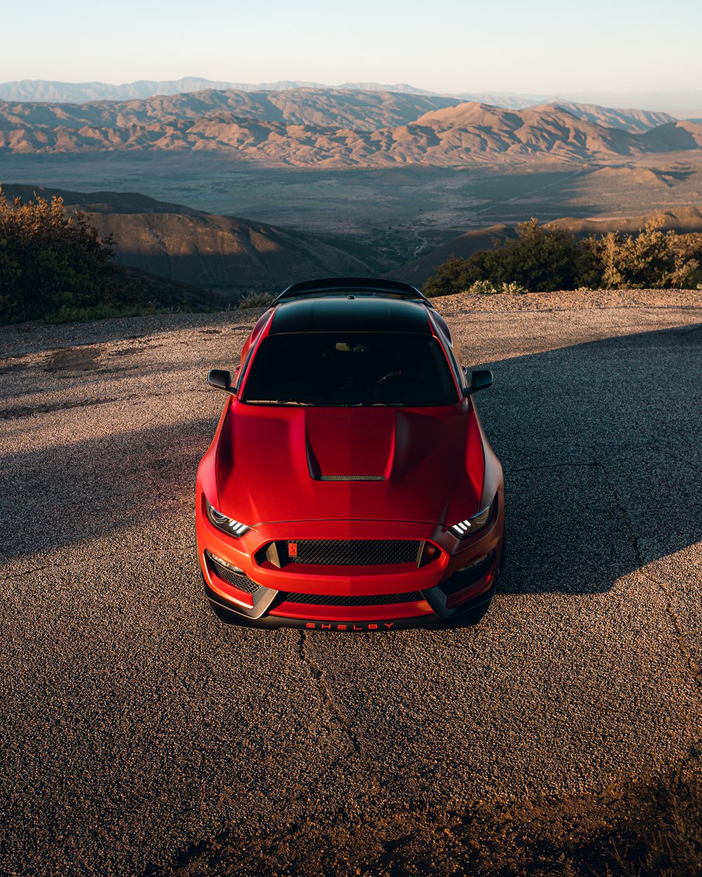 Andy's Mustang Shelby GT350R — McKenzie Johnson