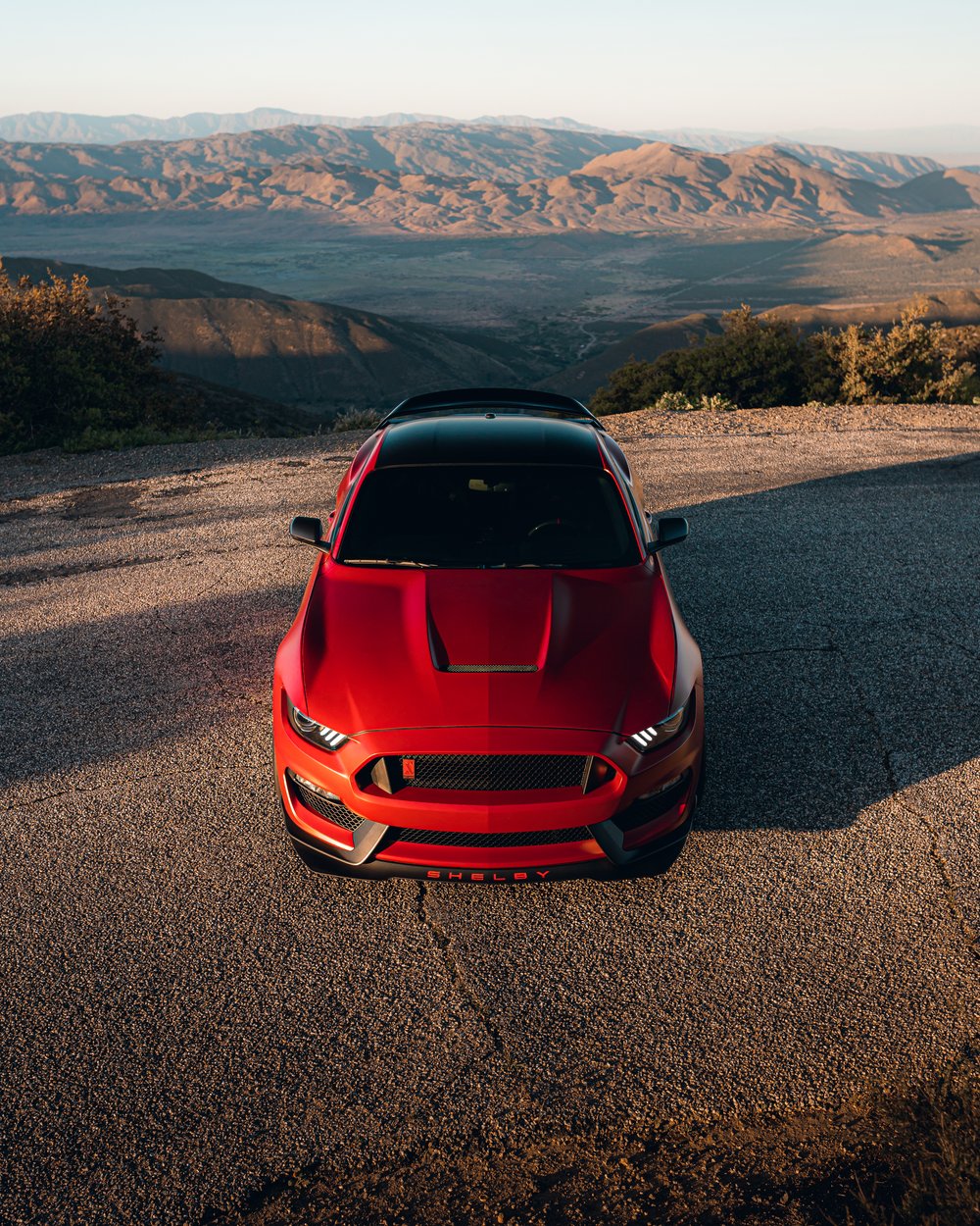 Andy's Mustang Shelby GT350R — McKenzie Johnson Andy's Mustang Shelby GT350R — McKenzie Johnson