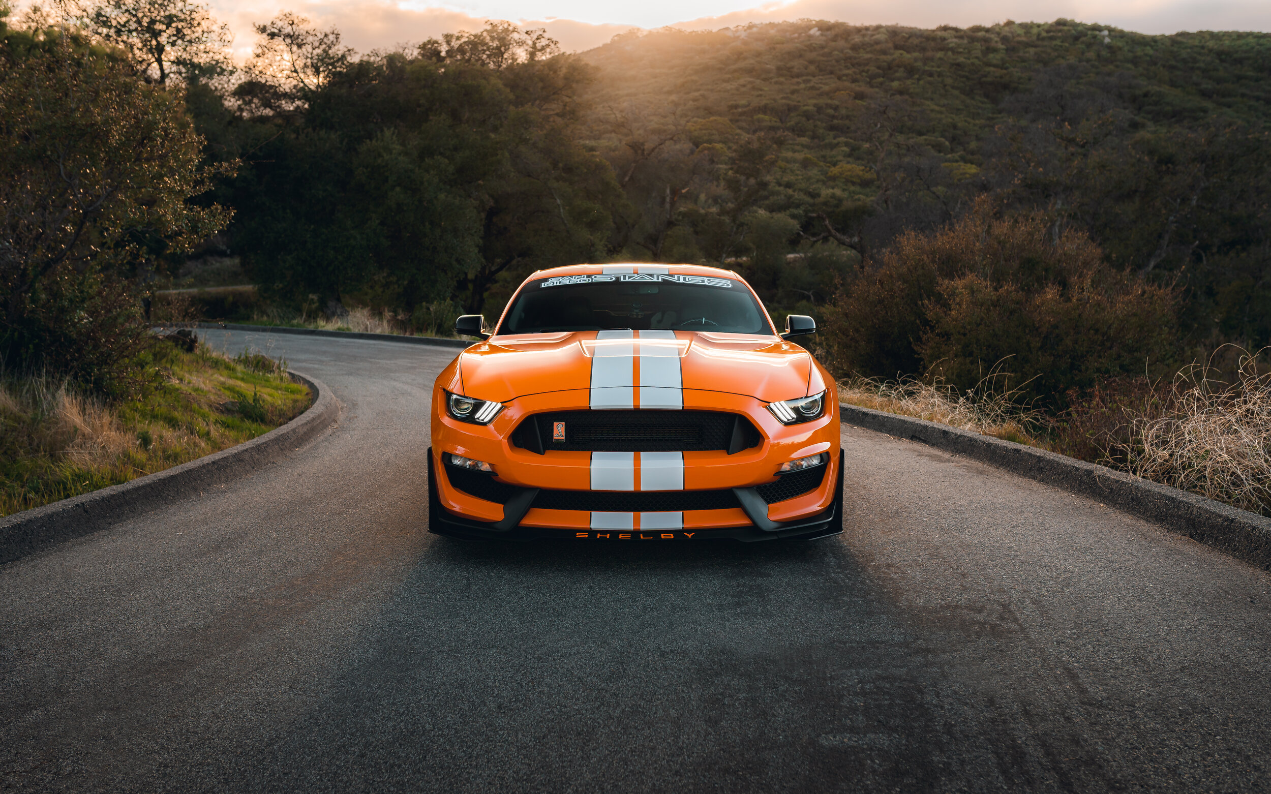 3-16-21 086-Edit.jpg