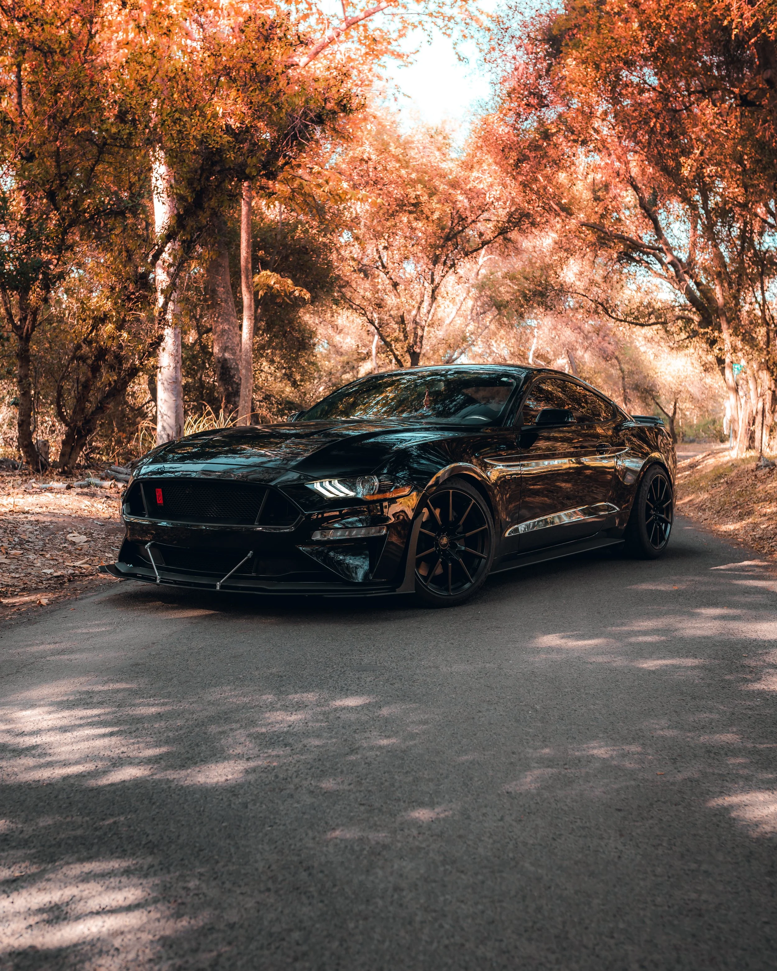 10-30-21 0387-Edit.jpg