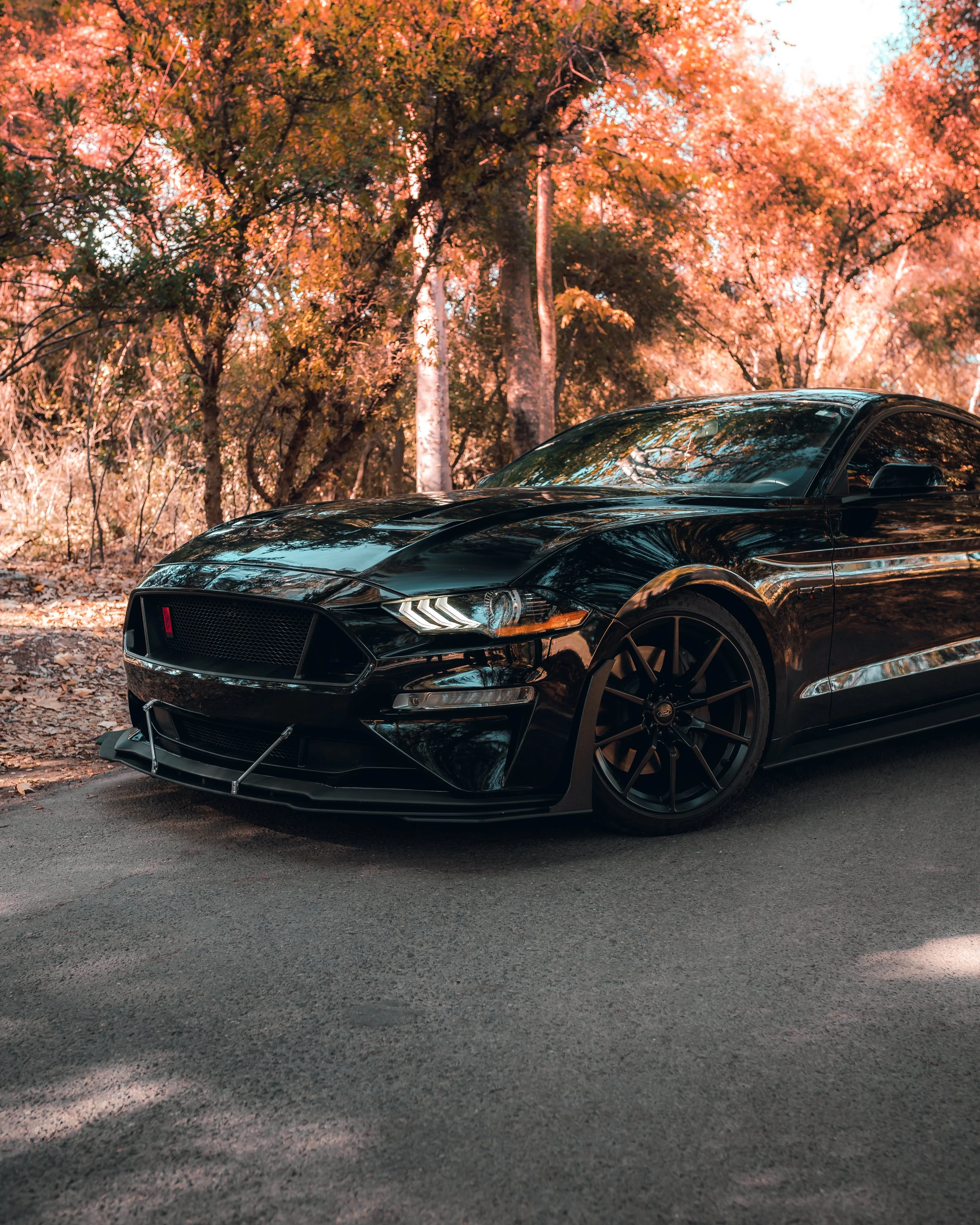 10-30-21 0435-Edit.jpg