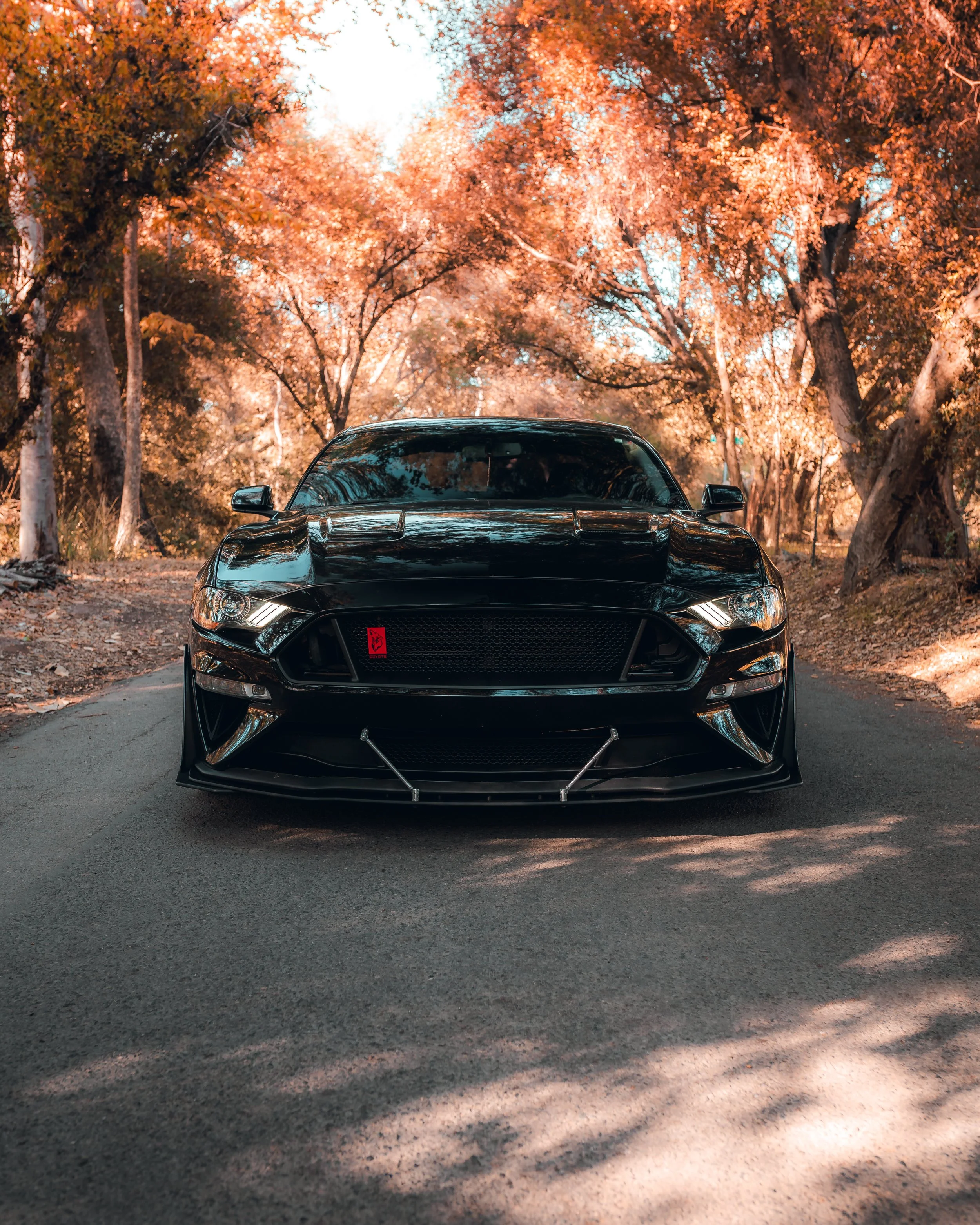 10-30-21 0708-Edit.jpg