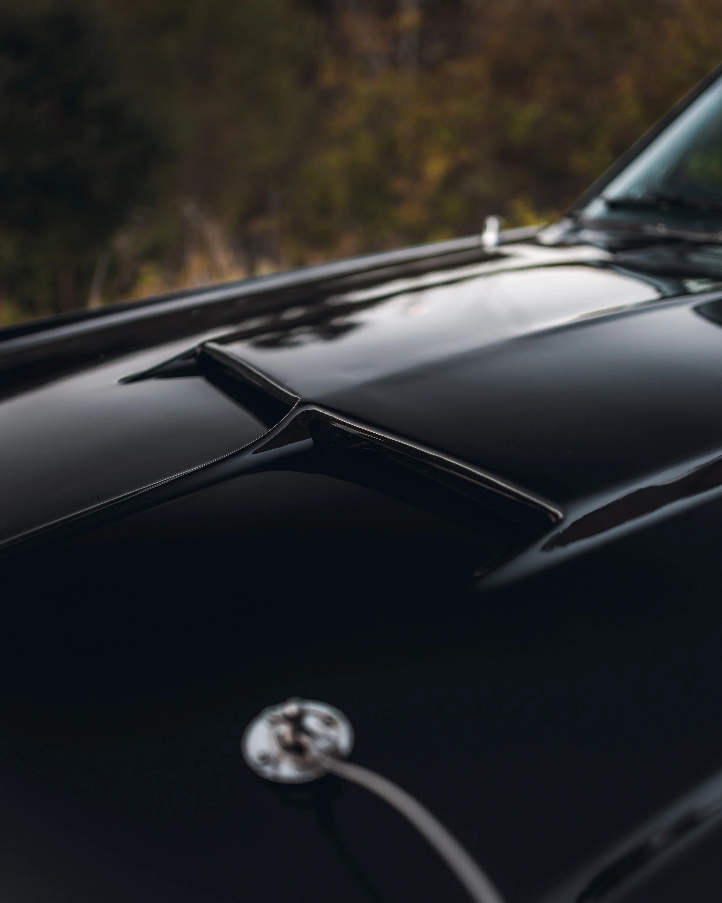 3-20-21 0869-Edit.jpg