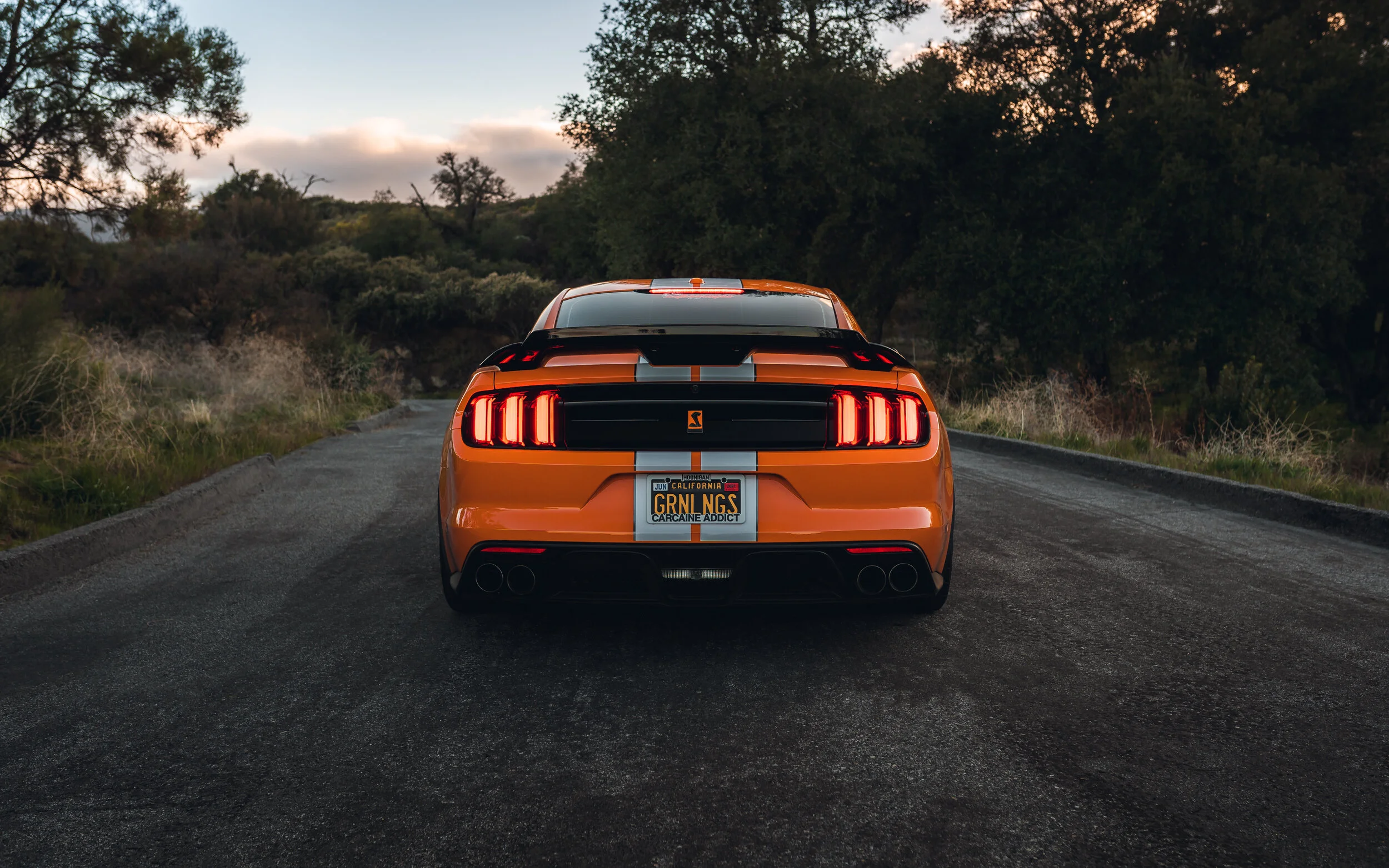 3-16-21 144-Edit.jpg