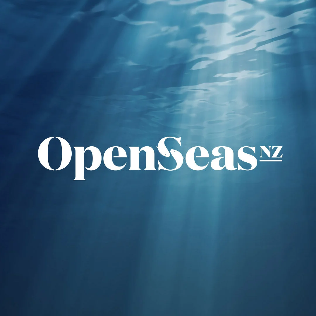OpenSeas * Brand Strategy & Identity