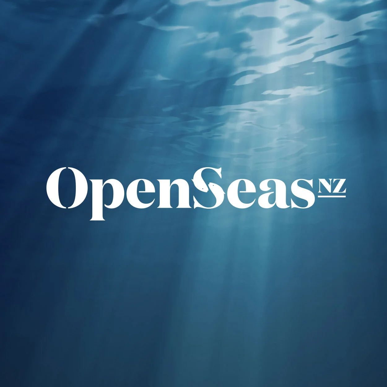 OpenSeas  Brand Strategy, Identity Development, Website.