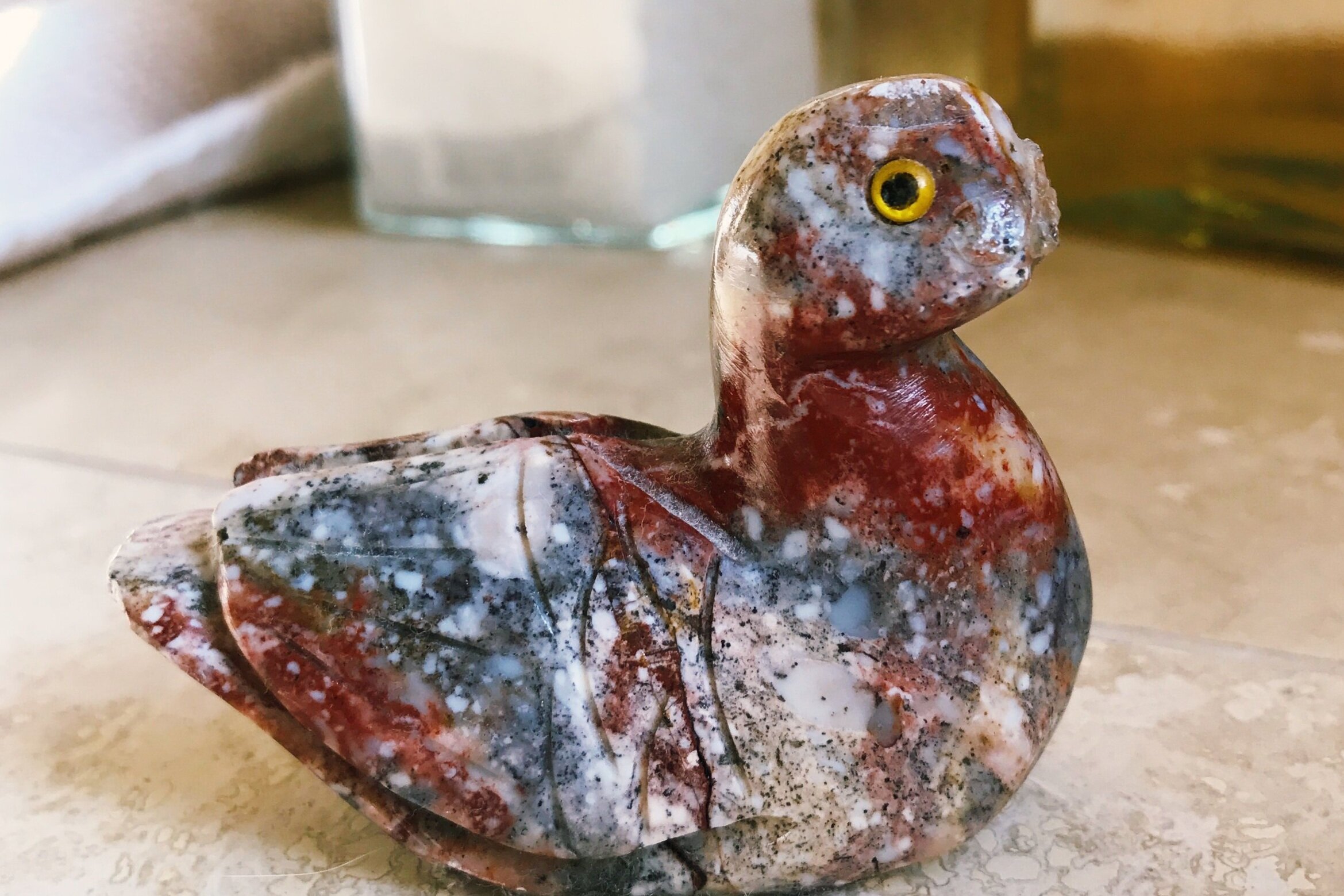 002. the speechless duck who speaks a thousand words