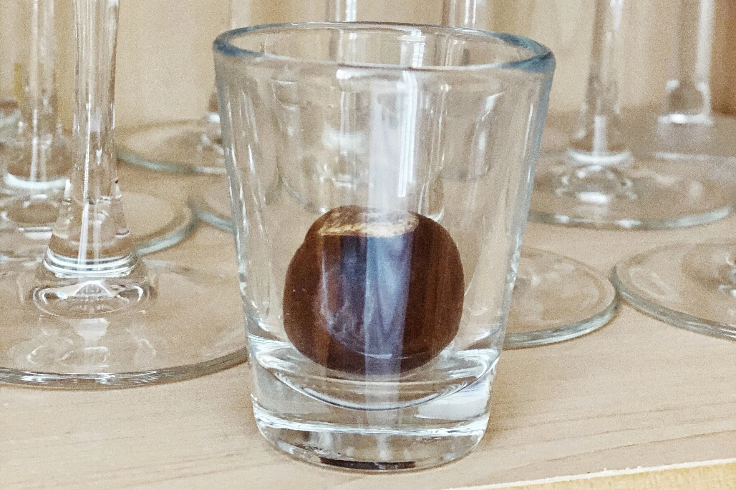 004. the chestnut at the Met