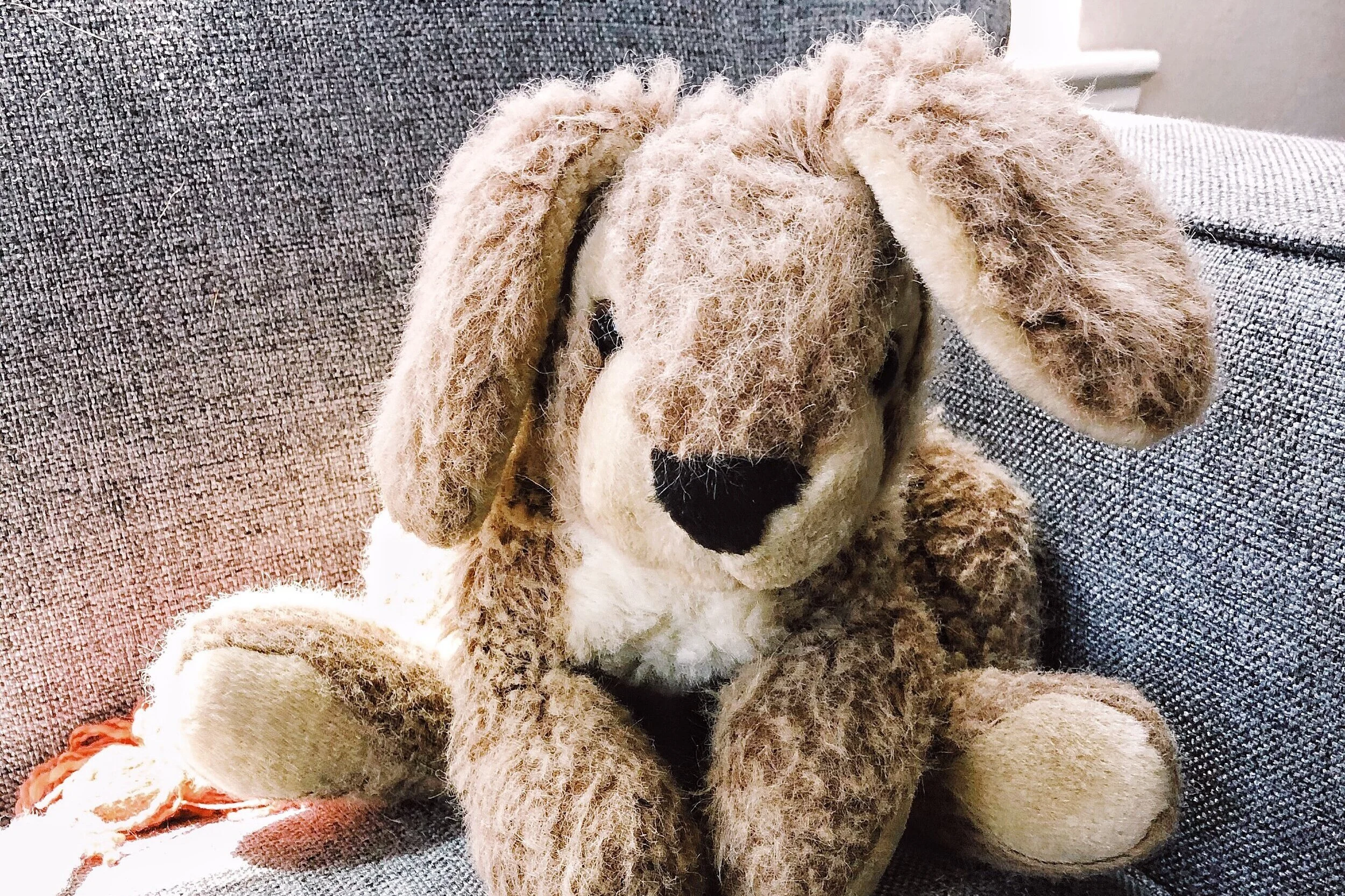 013. the boy who cried bunny