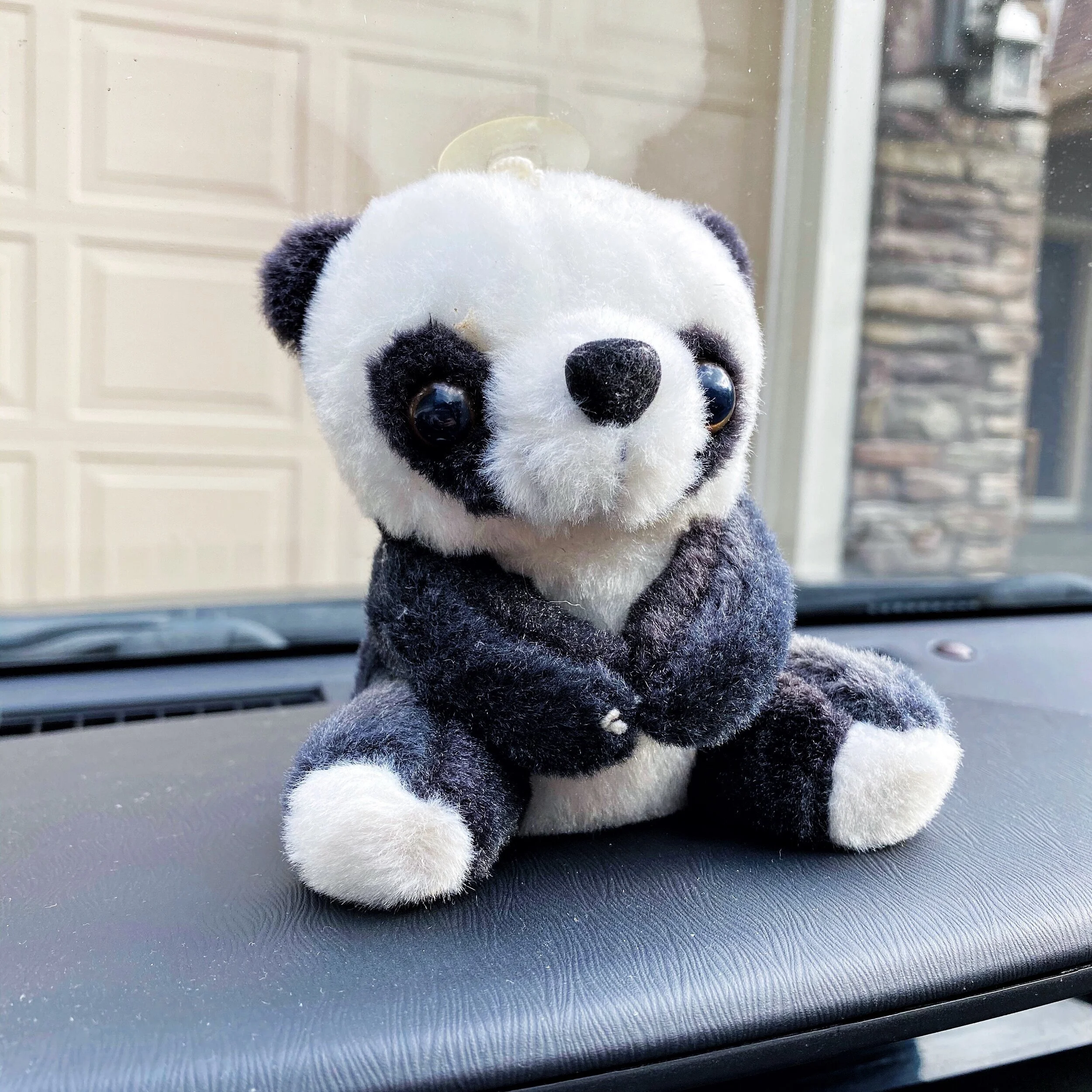 Pedma and her sister have had this panda bear on her car dashboard for four years and counting!