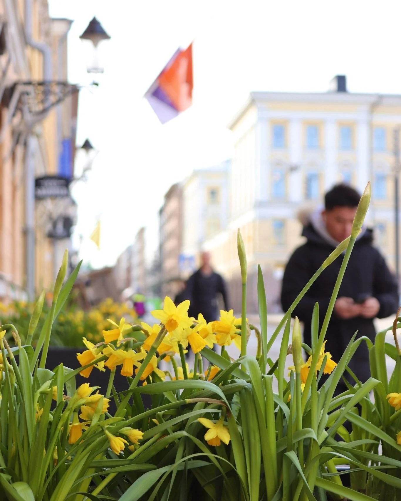 P&auml;&auml;si&auml;inen Helsingiss&auml; 2025 &ndash; kun kaupungin syd&auml;n sykkii musiikkia, mystiikkaa ja makuja. 🌿 Kev&auml;t her&auml;&auml; ja Helsinki pukeutuu juhlaan. T&auml;n&auml; p&auml;&auml;si&auml;isen&auml; kaupungin ytimest&auml
