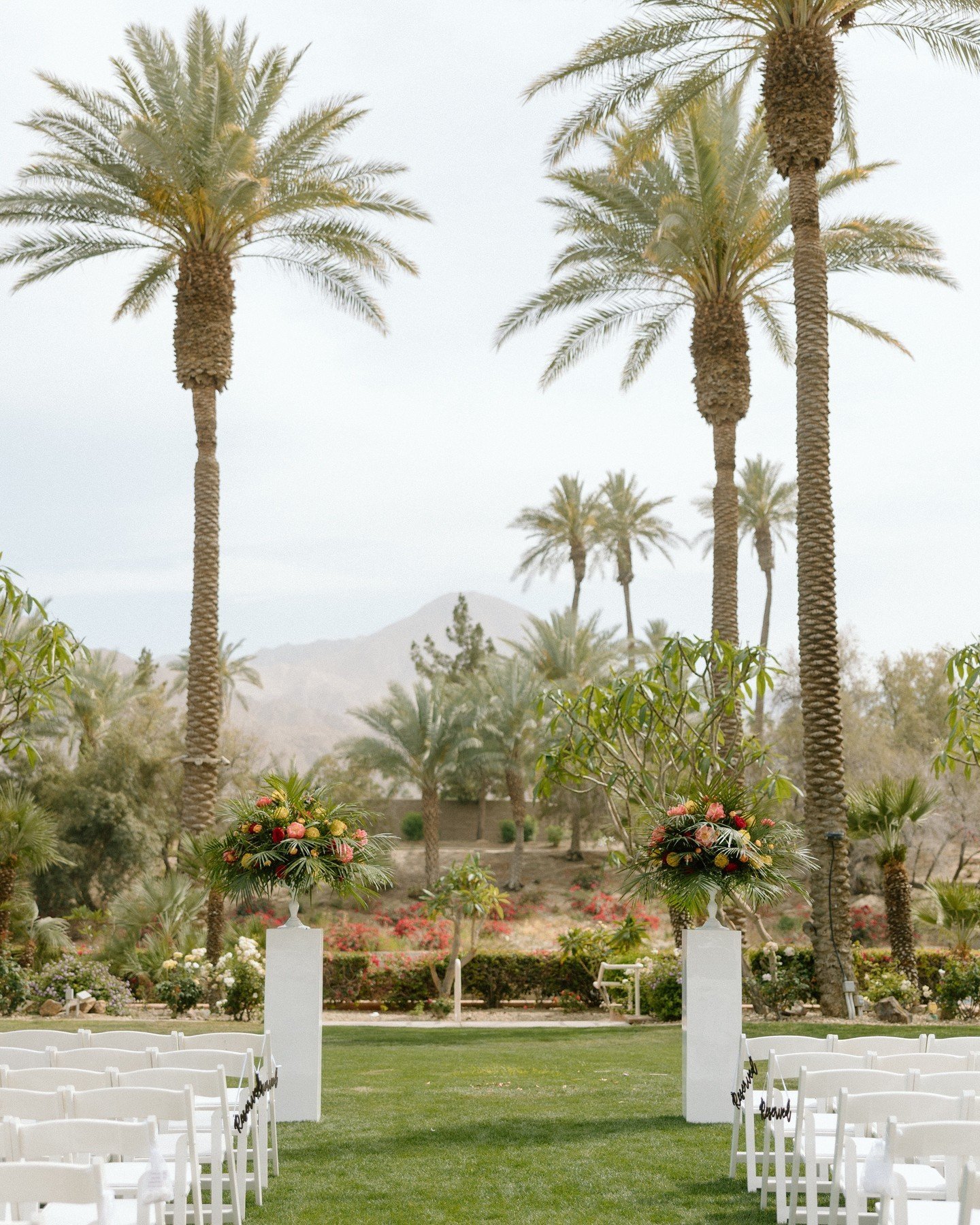 🌴✨ A dreamy aisle surrounded by palms and desert blooms&mdash;this stunning view is the perfect start to forever. 💍🌸 #DesertWeddingVibes #PalmSpringsMagic #SayIDo
Venue: Renaissance Esmeralda Resort &amp; Spa