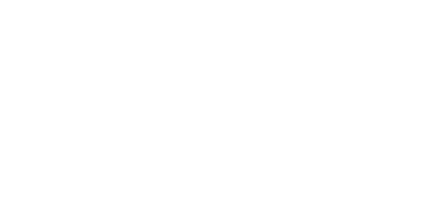 TNT REALTY GROUP LLC