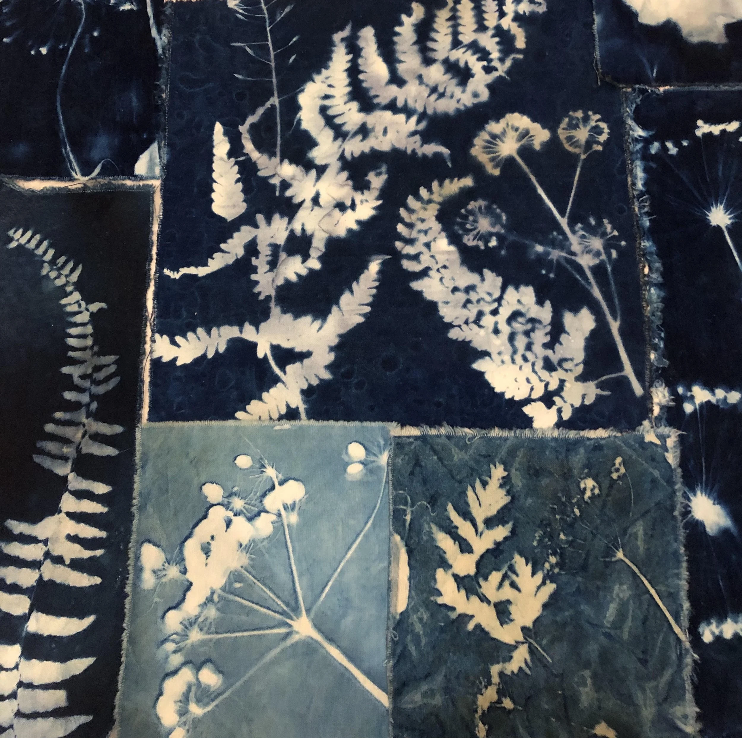 WORKSHOP: Experimental Cyanotype (Solar Printing)