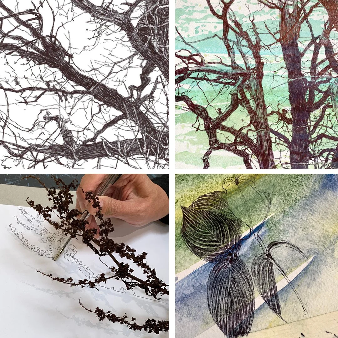 WORKSHOP: Drawing winter's colours & patterns with ballpoint pen and washes