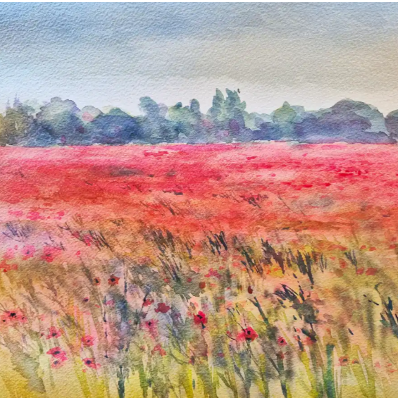 WORKSHOP: Wonderful Watercolours - Field of Poppies