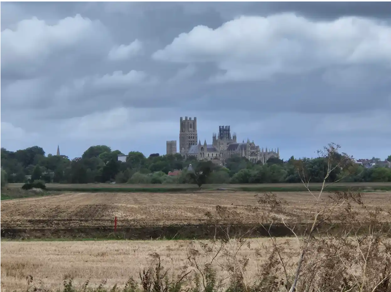 WORKSHOP: Wonderful Watercolours - View of Ely Cathedral