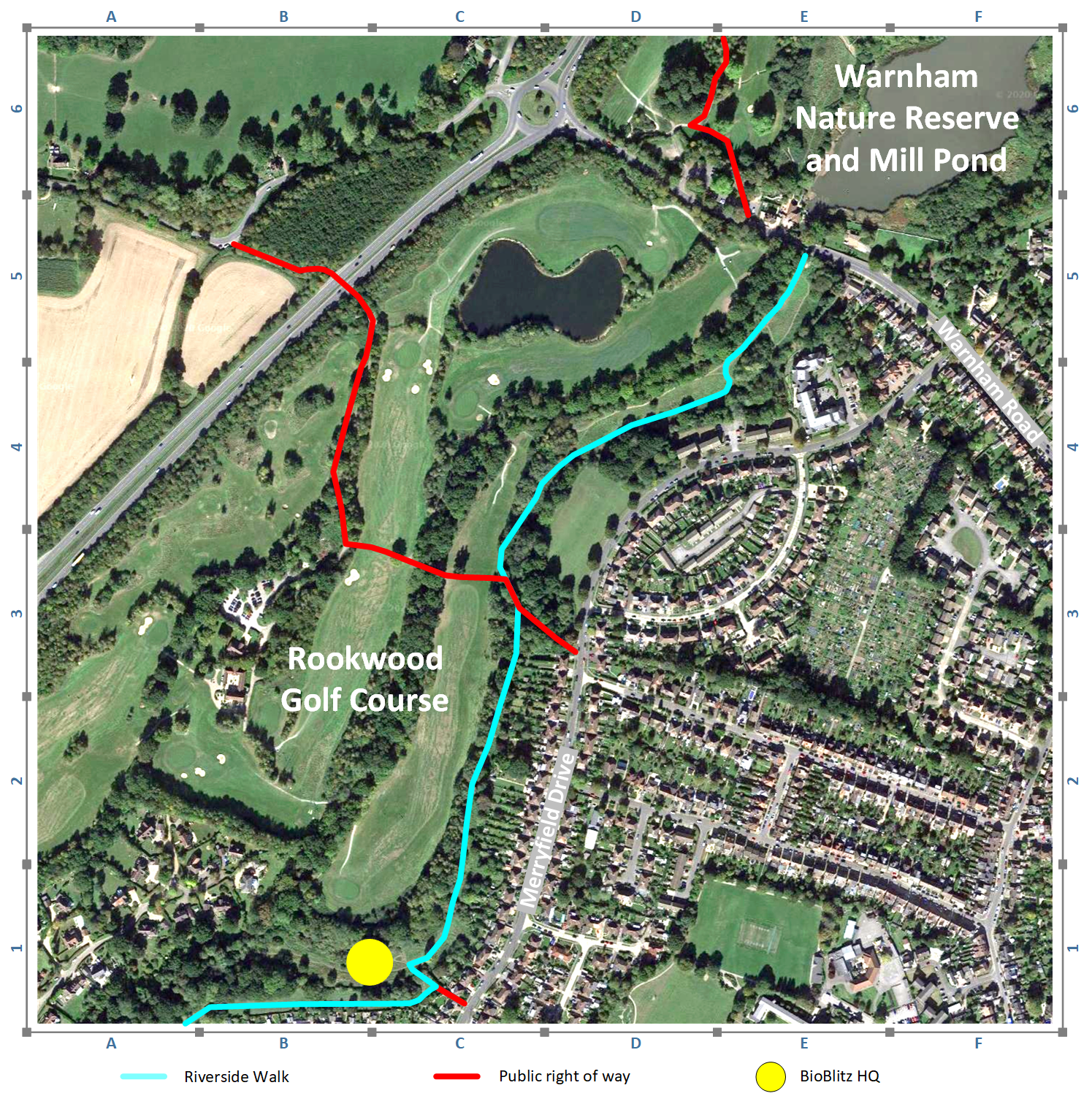 Rookwood BioBlitz - 15th August