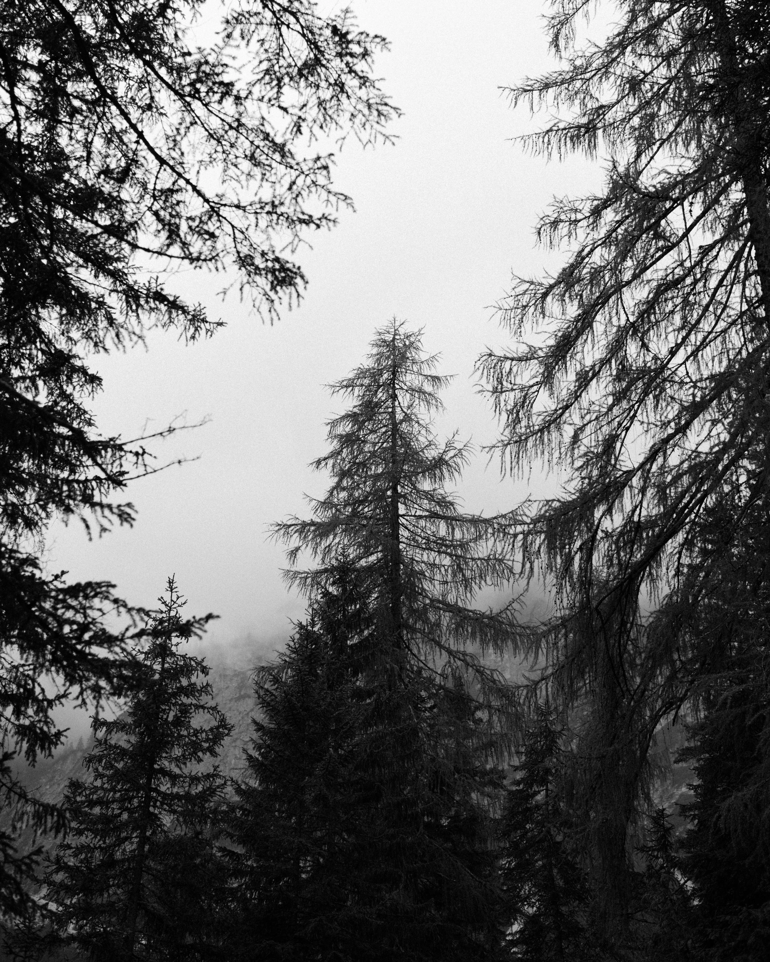 Joanna-Eliza-Dolomites-09.JPG