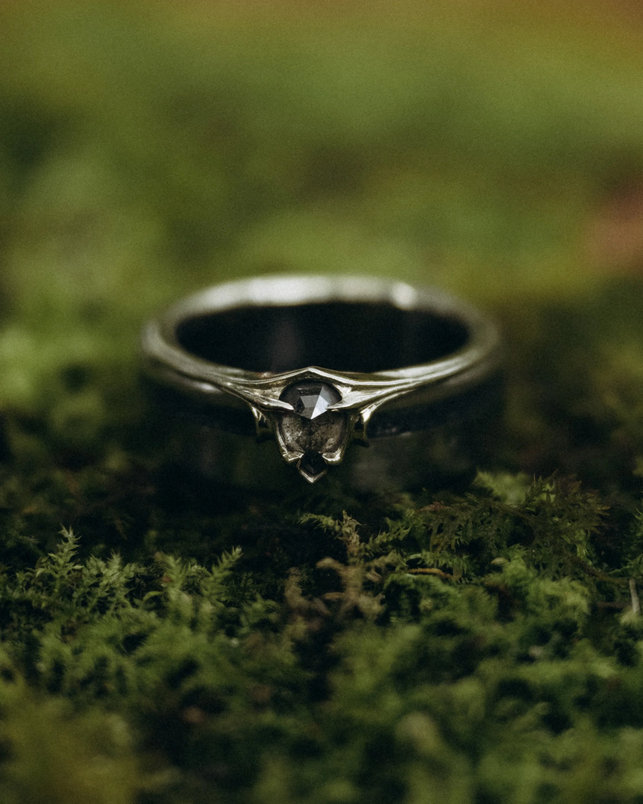 Joanna-Eliza-Alan-Elena-Sneaks-5 copy.jpg