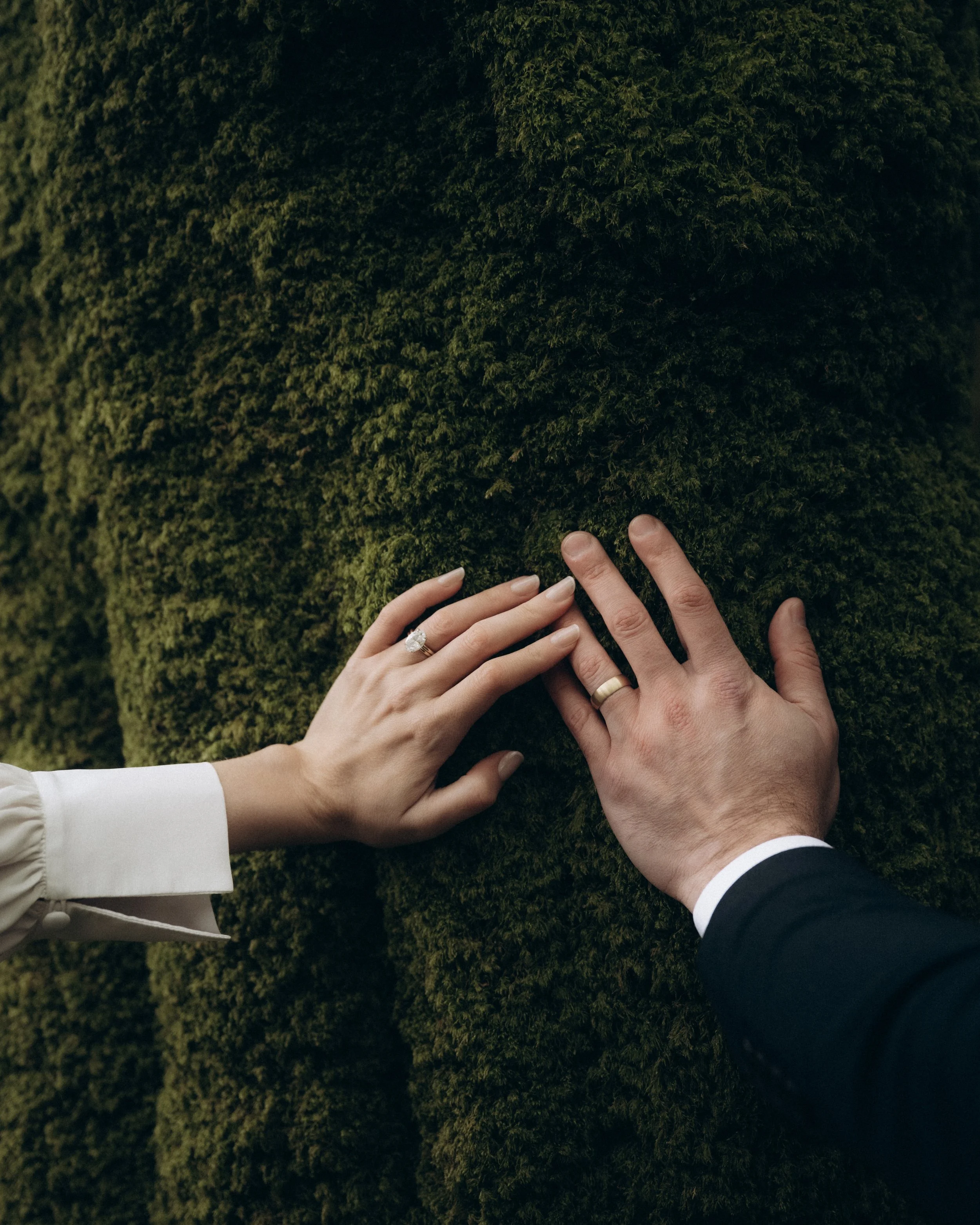 Joanna-Eliza-Dana-Ryan-Sneaks-29 copy.jpg