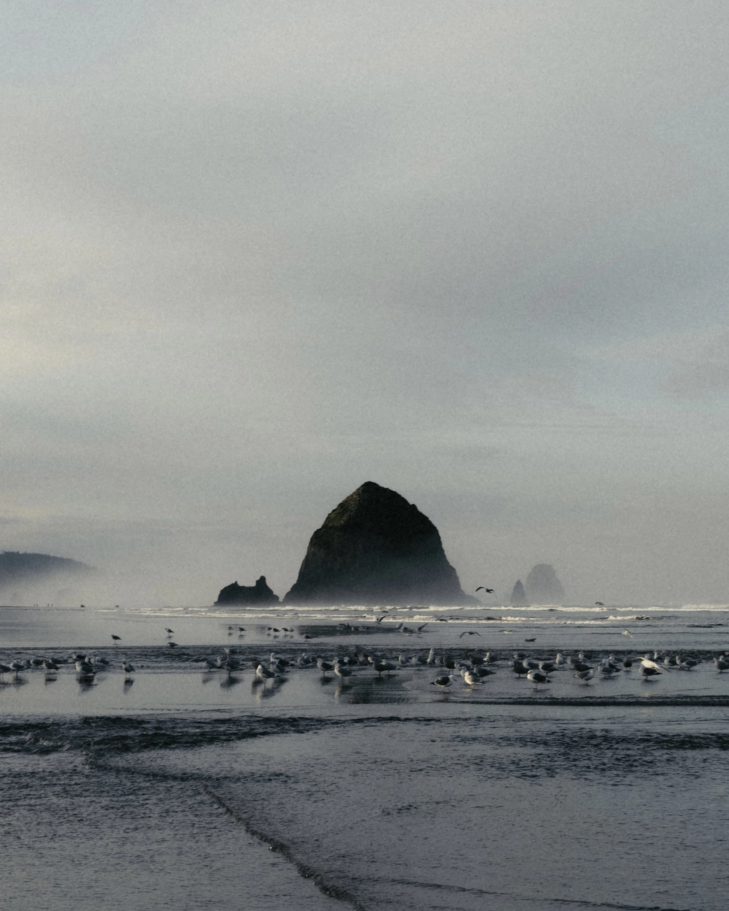 Joanna-Eliza-Oregon-04.jpg