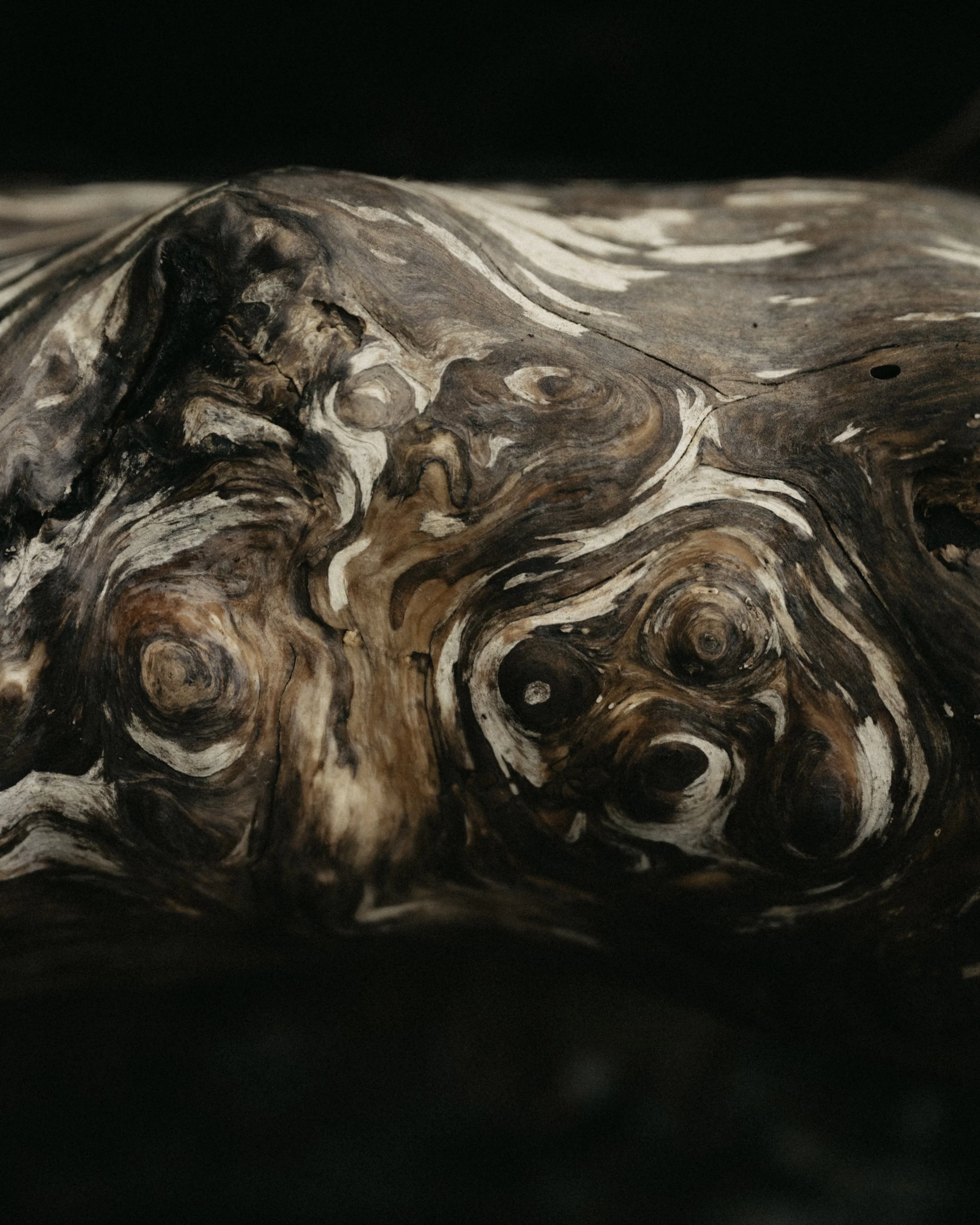 Joanna-Eliza-Oregon-11.jpg