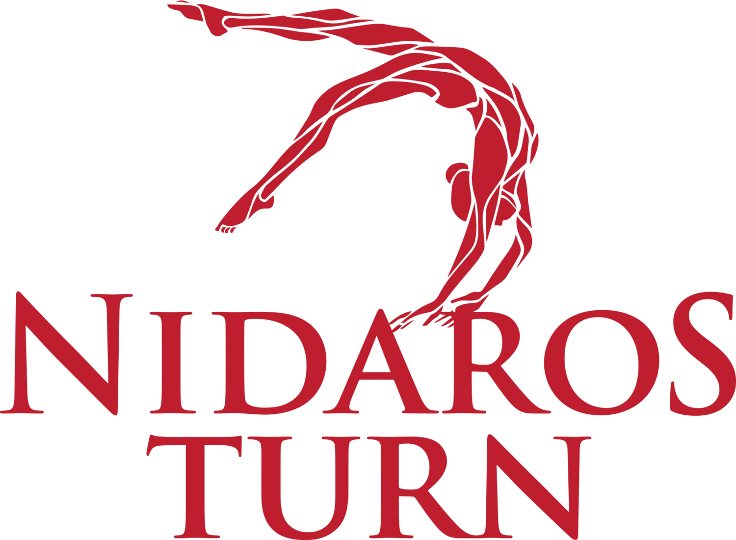 Nidaros Turn