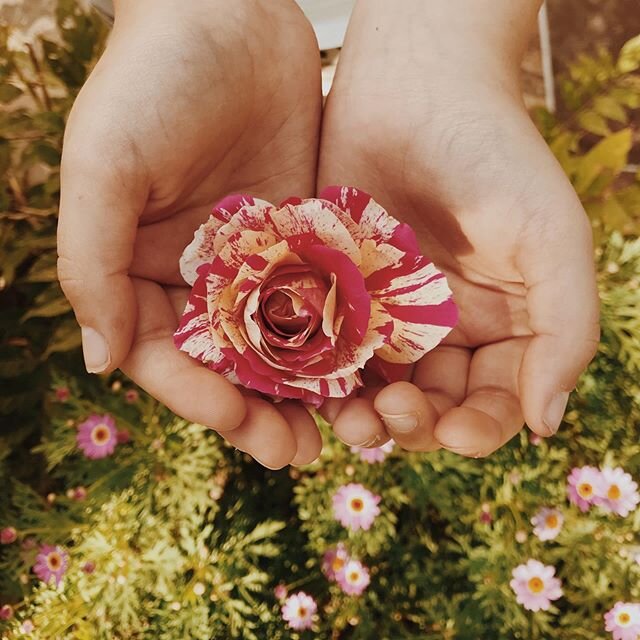 She is my favourite May flower of all.