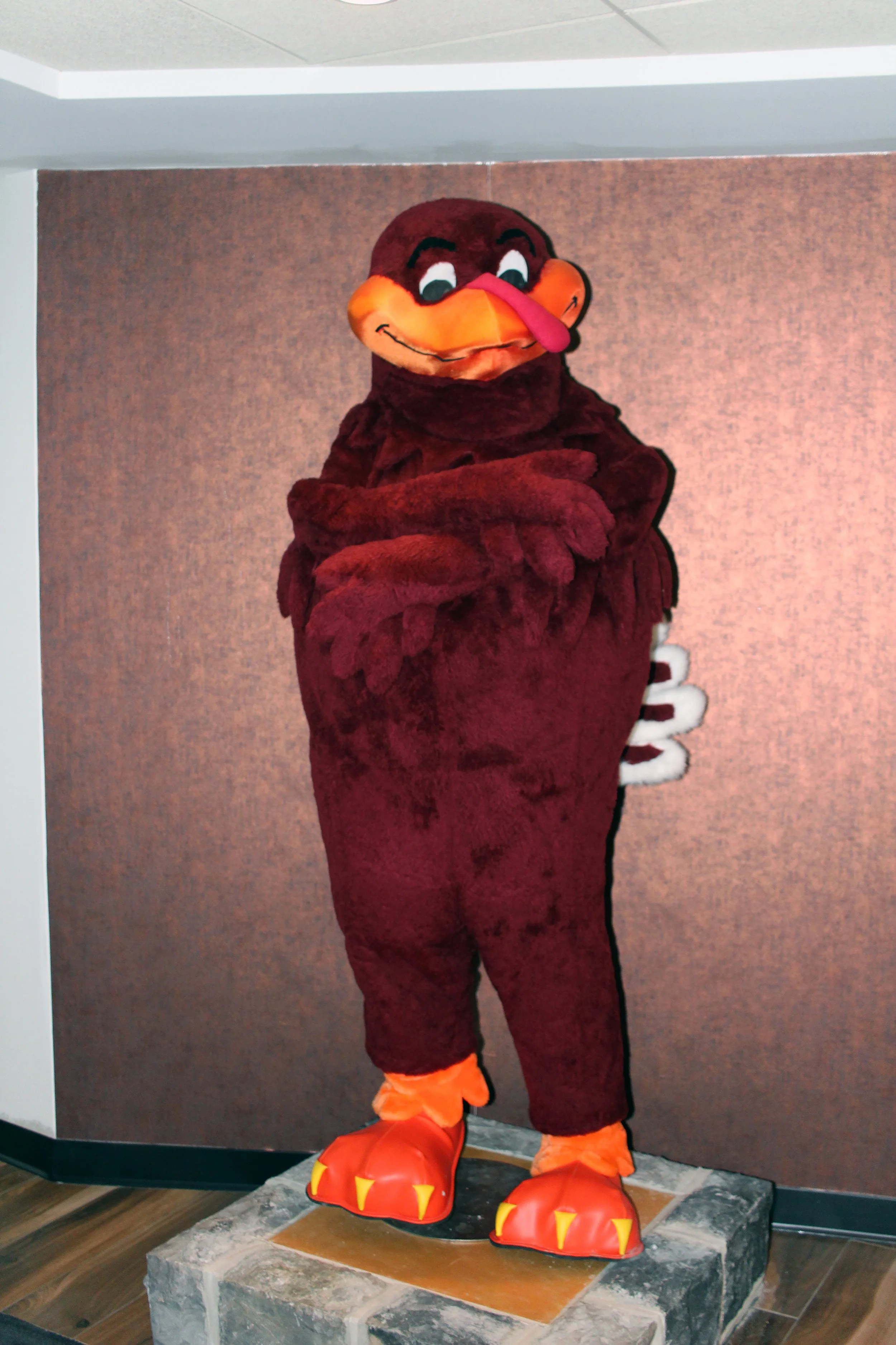 Lane Stadium Virginia Tech Hokies Football college football fighting gobblers vpi tech michael vick frank beamer bud foster club university field of worsham lane stadium blacksburg uva vt cavs wahoos hoos rivalry acc atlantic coast conference fsu