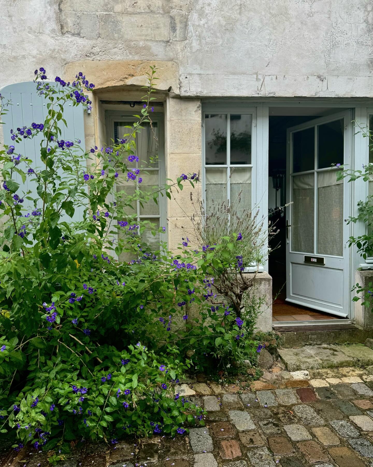 Happy wanderings on the &Icirc;le de R&eacute; 🇫🇷 Every time we come there's another hundred joyful houses to admire. Heading home at the weekend with a camera full of greenery, door detailing and gracefully ageing plasterwork 💕 #charlottecroftsan