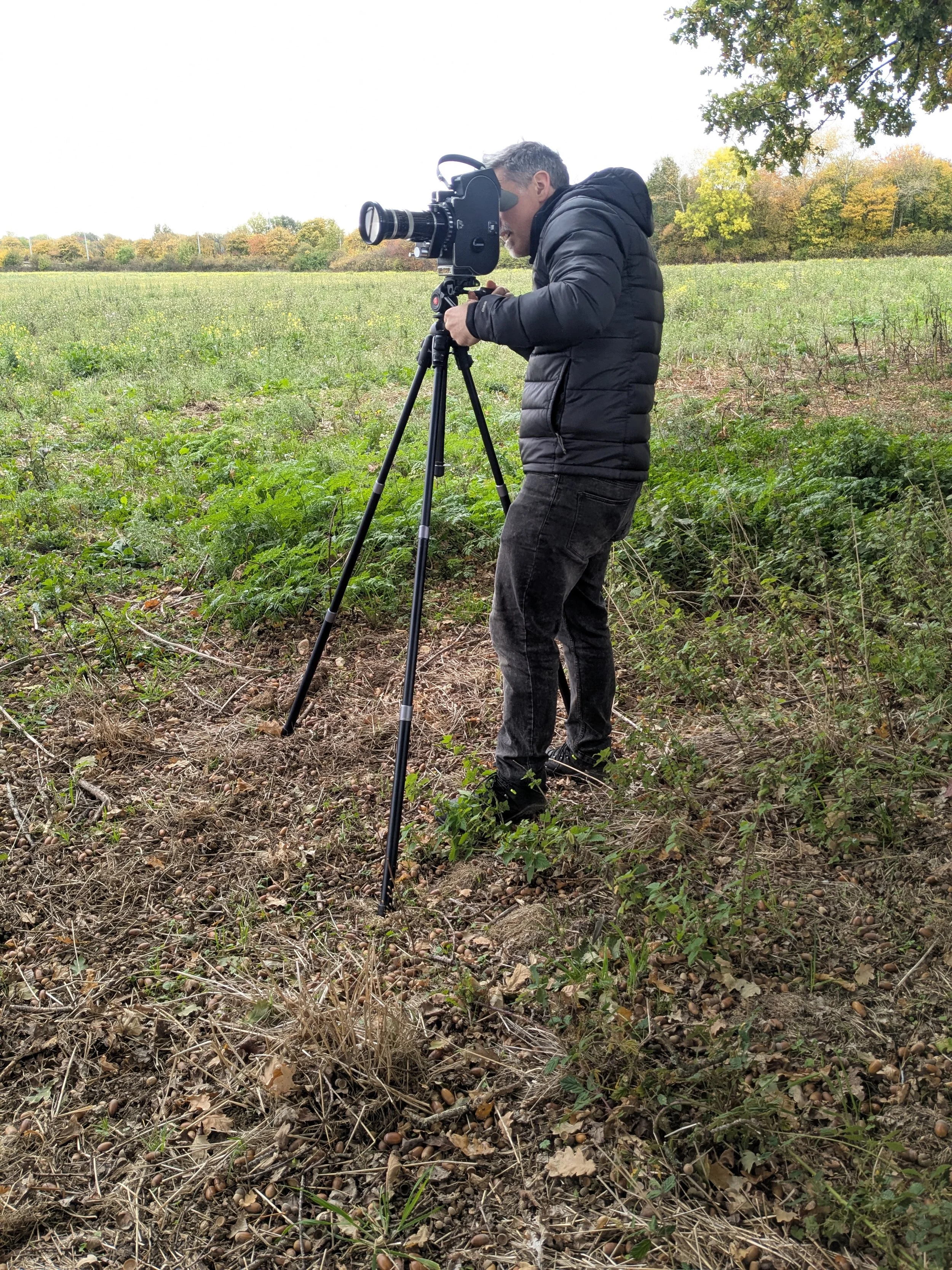 A person using a camera on a tripod in an outdoor field with trees in the background.