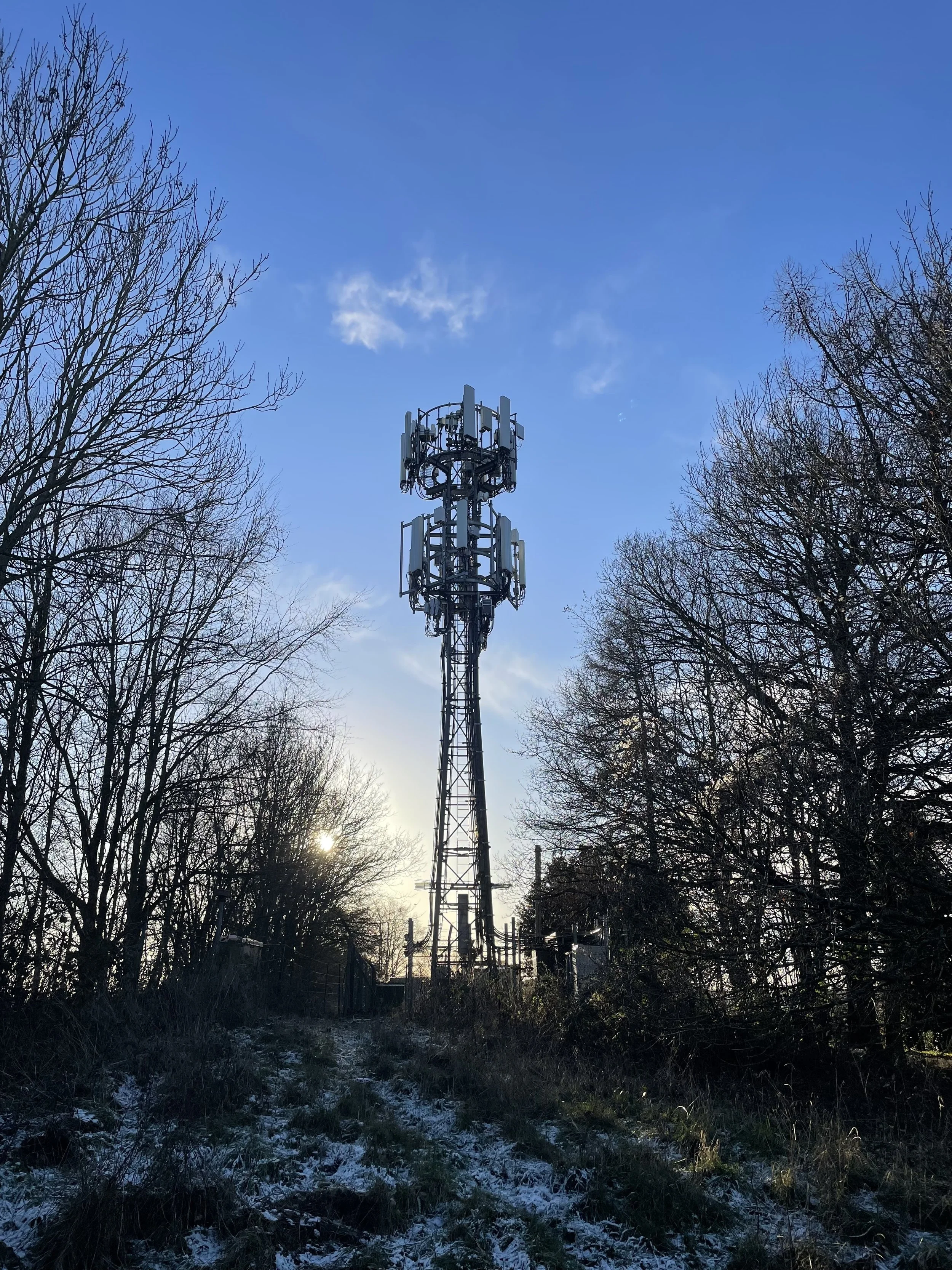 A cell tower standing amidst leafless trees with the sun partially visible through the branches, under a clear blue sky.