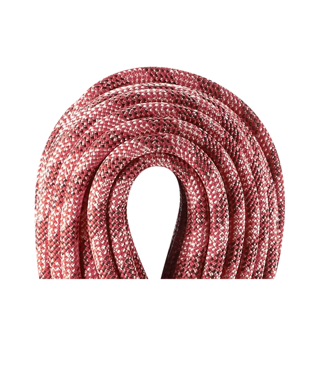 Edelrid Python 2.webp