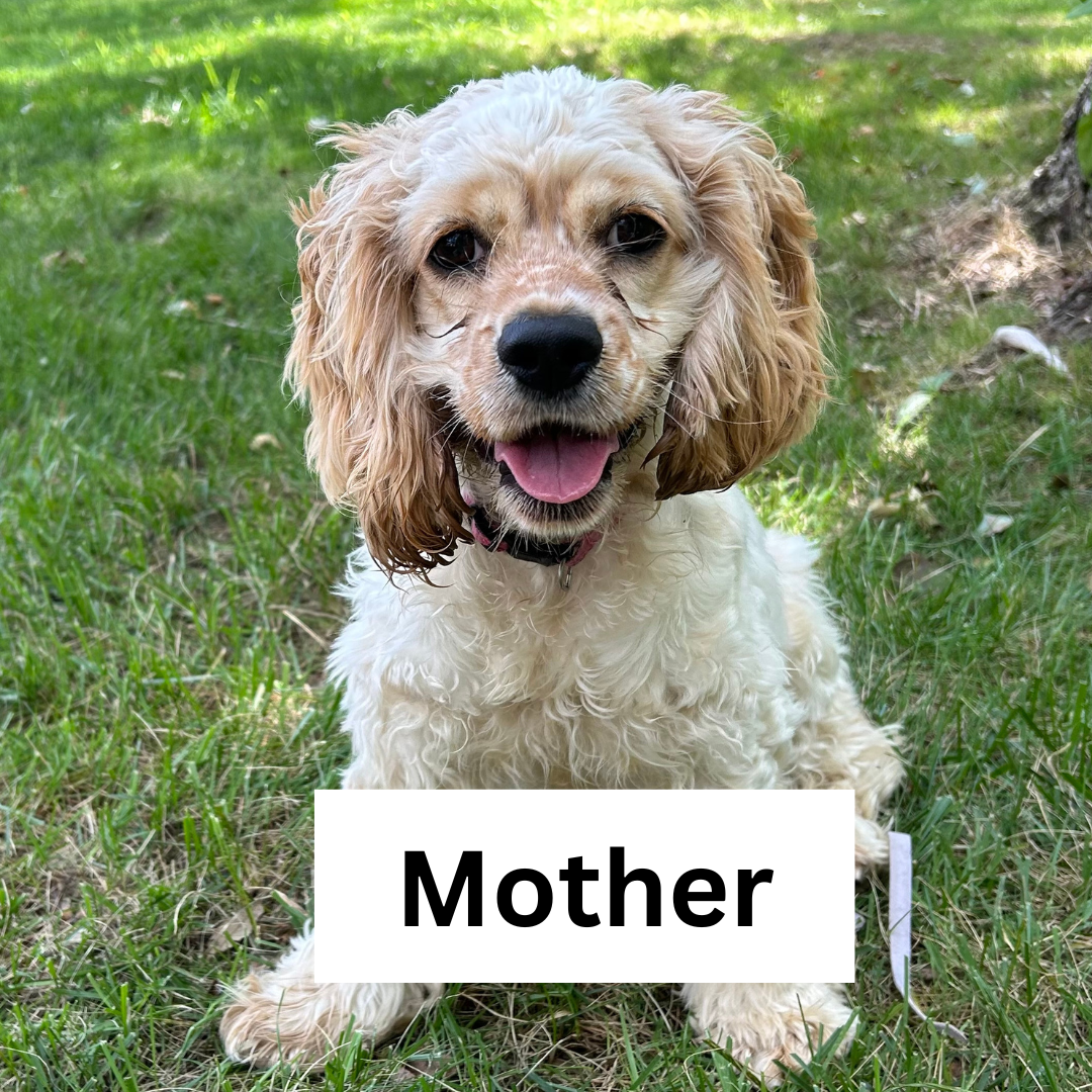 Zoe_Mother.png (Copy) (Copy)