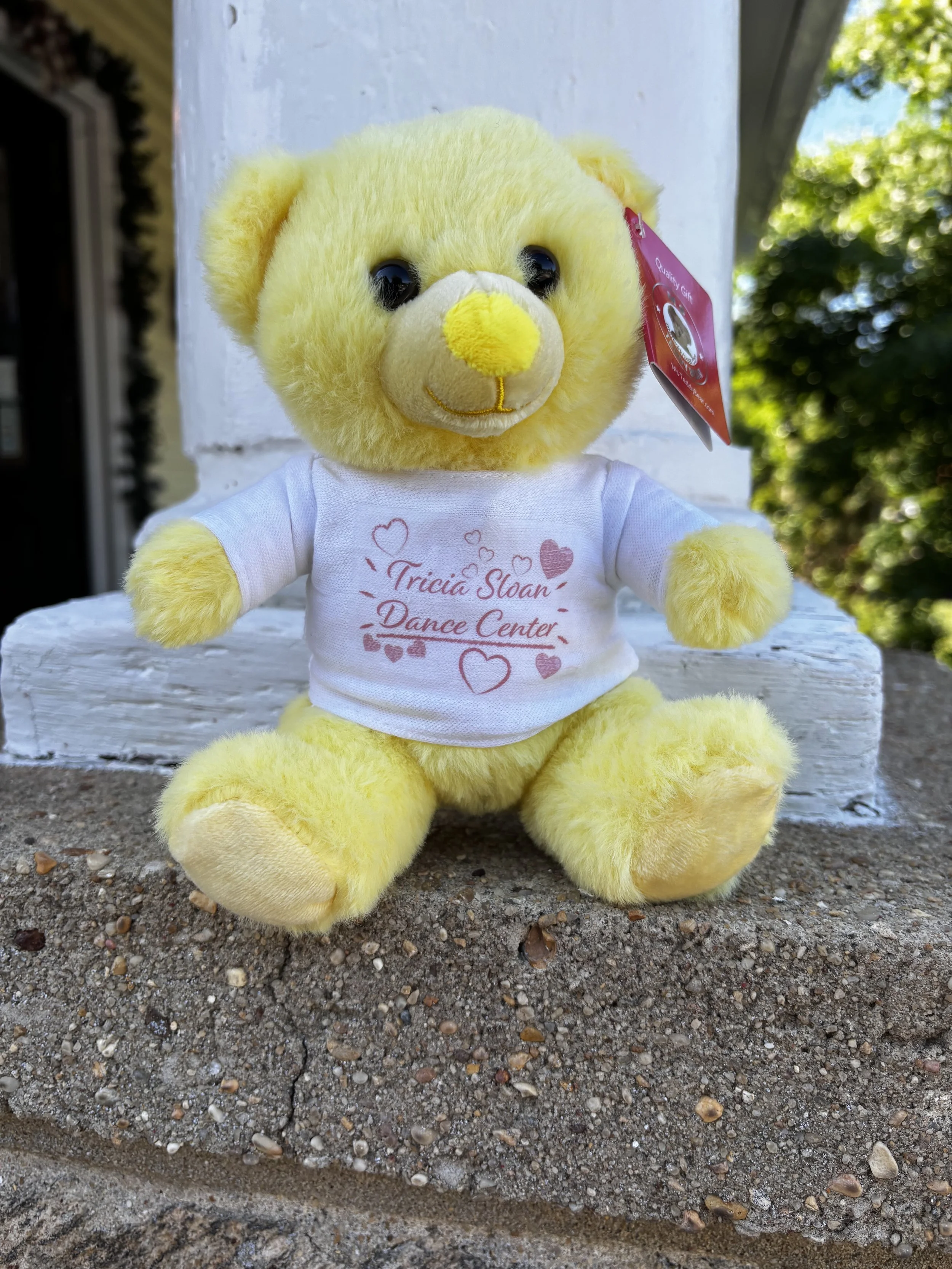 Bear_Yellow.jpeg