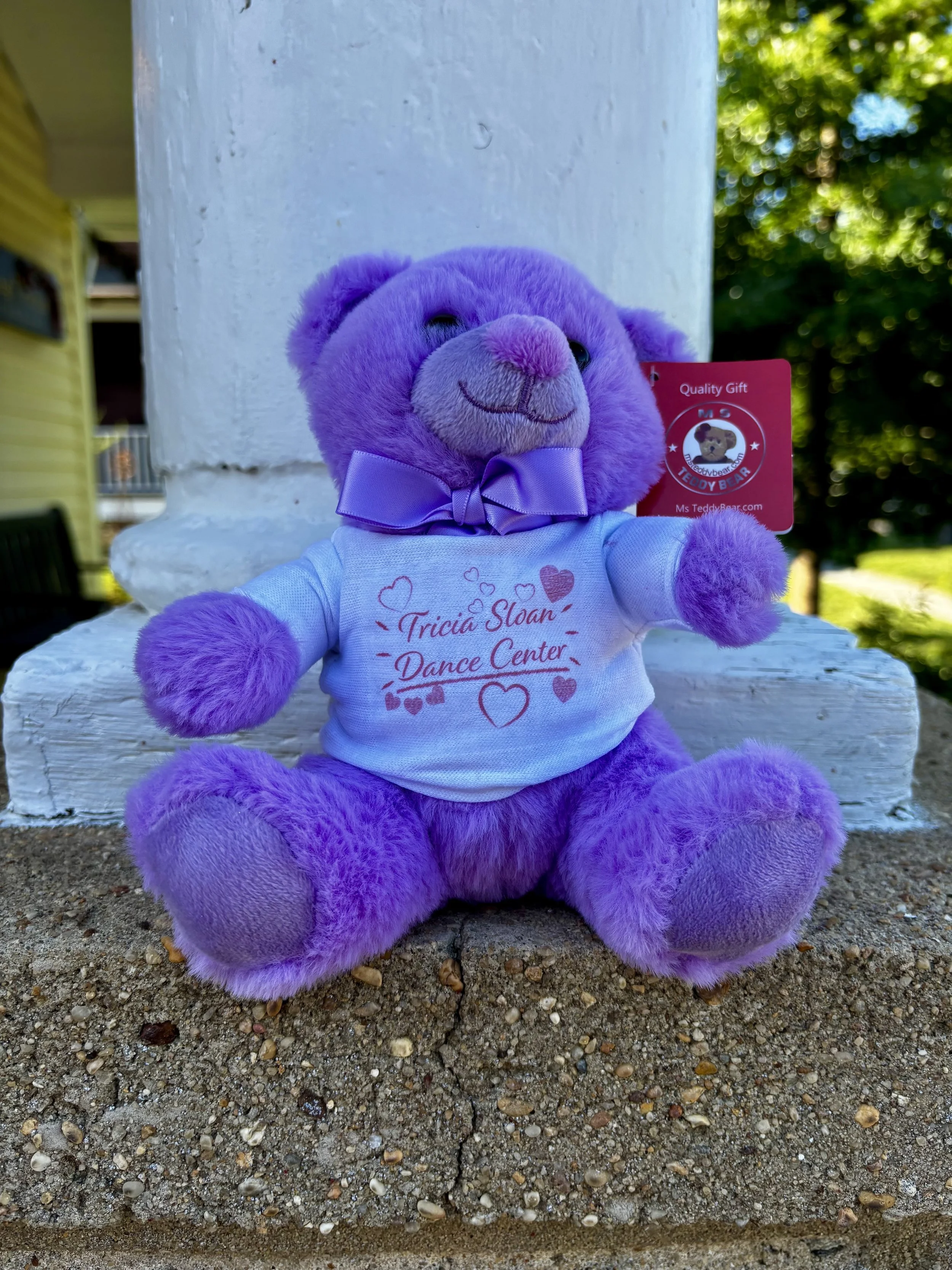Bear_Purple.jpeg