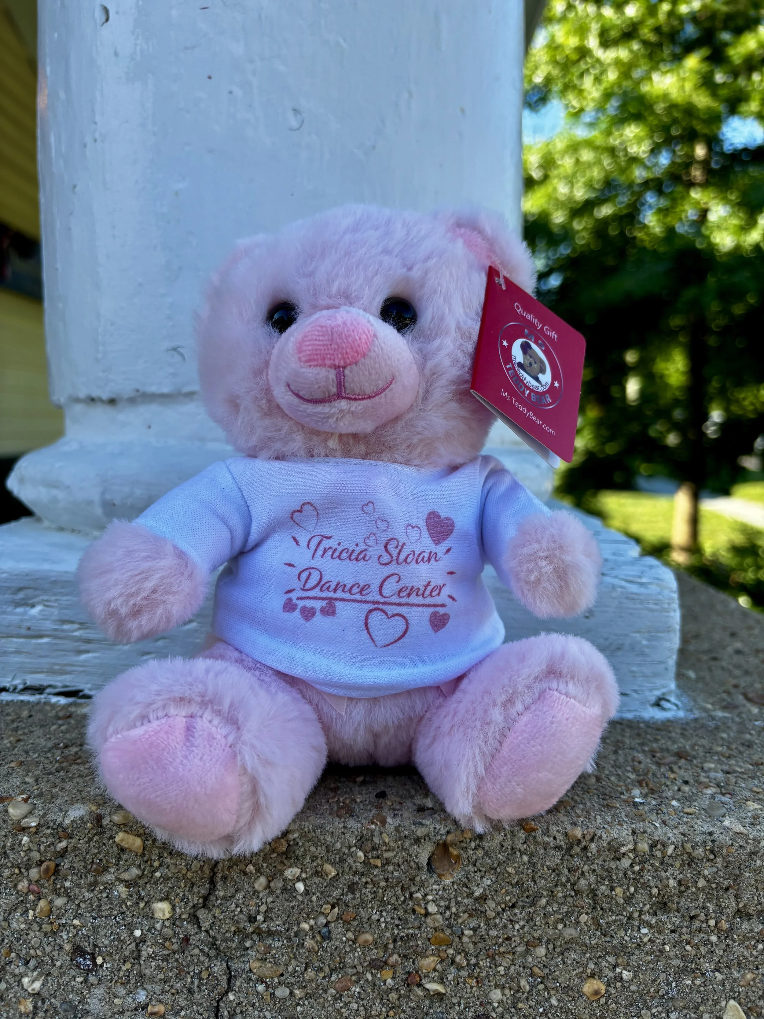 Bear_Pink.jpeg