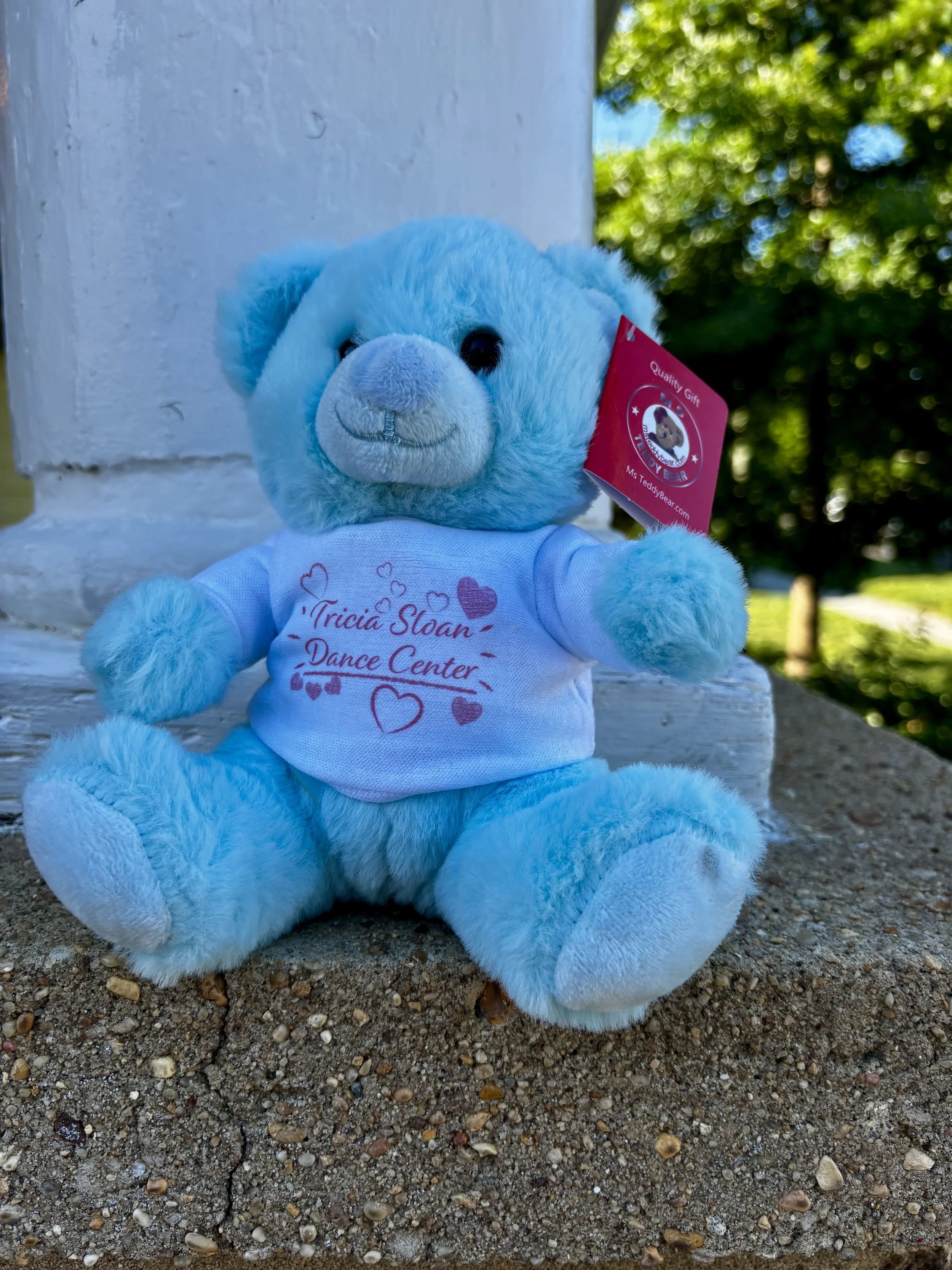 Bear_Blue.jpeg