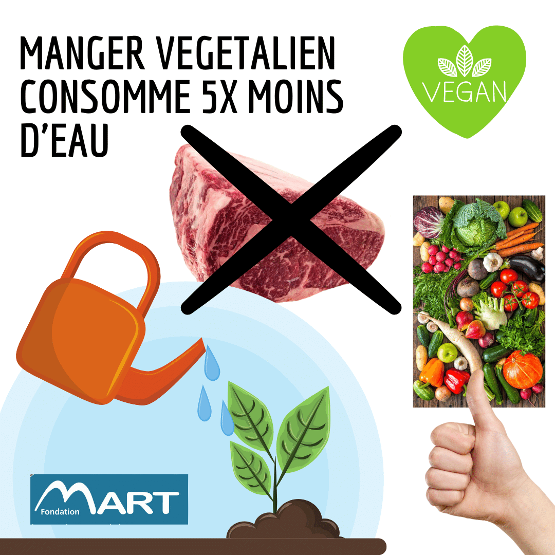 Vegan moins d'eau.png