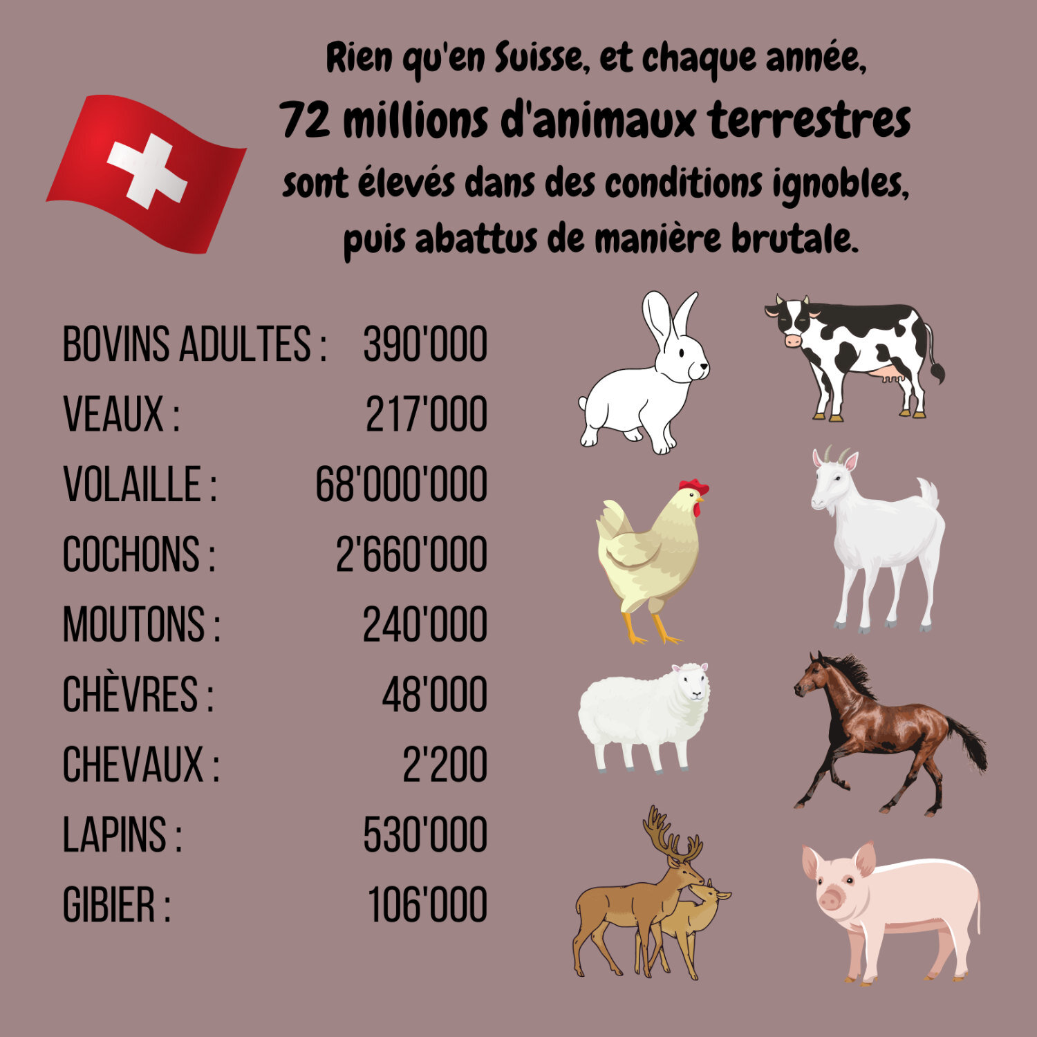 Animaux abattus en Suisse (1).jpg
