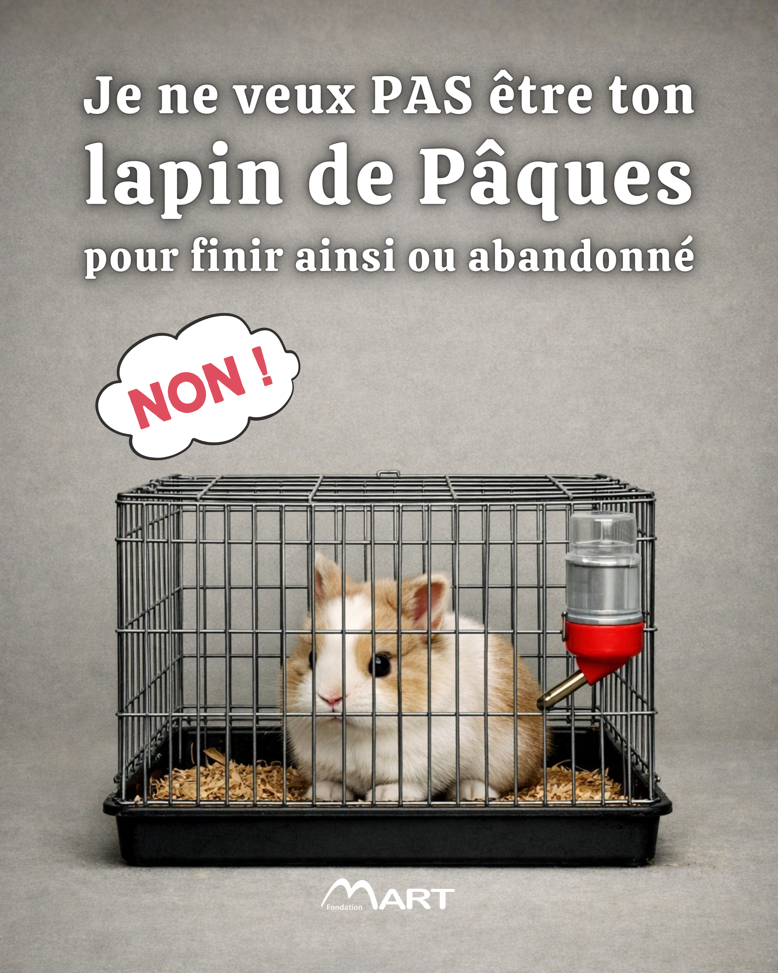 lapin de Paques.png